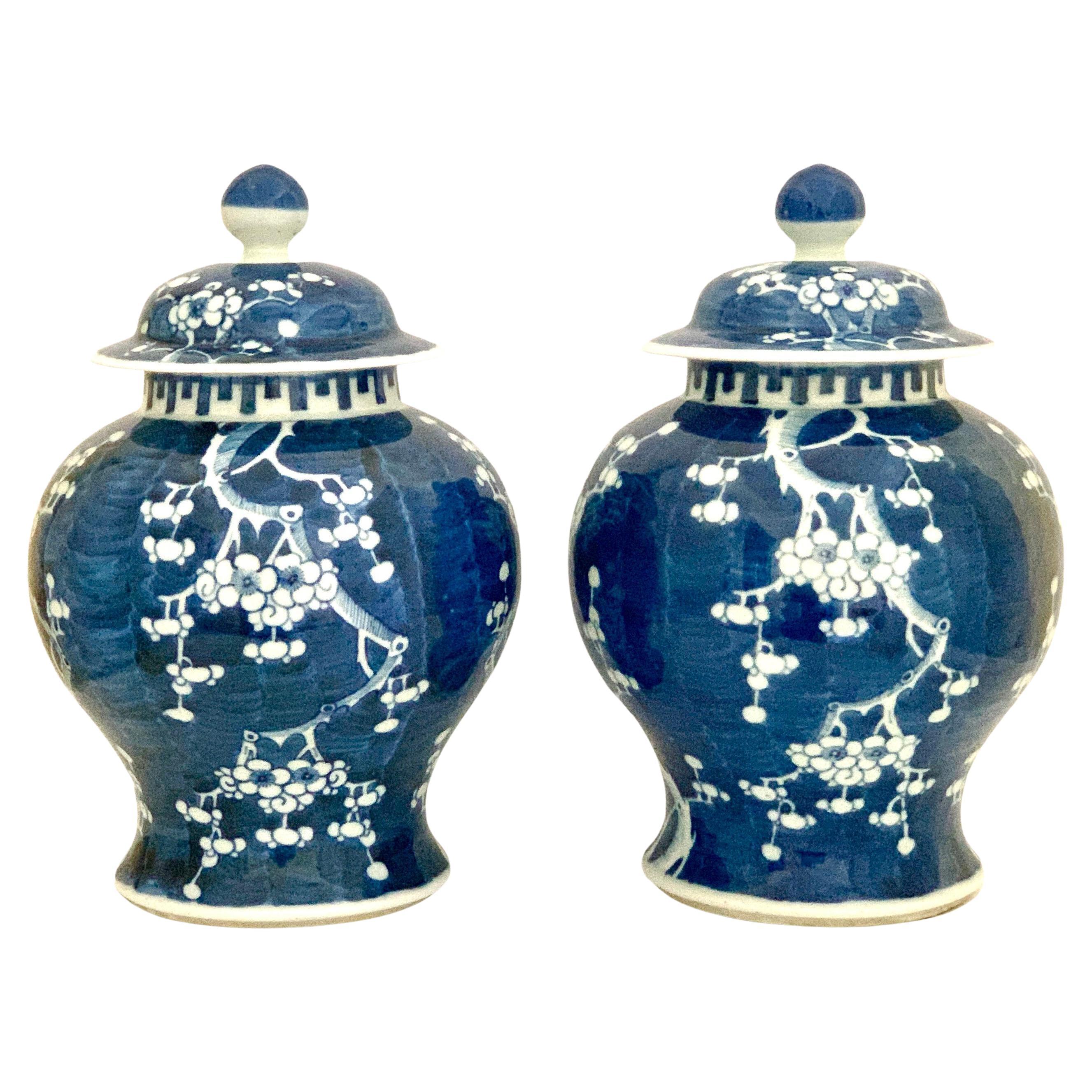 Pair Blue and White Chinese Porcelain Ginger Jars 19th Century Hand Painted