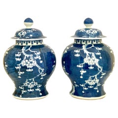 Pair Blue and White Chinese Porcelain Ginger Jars 19th Century Hand Painted
