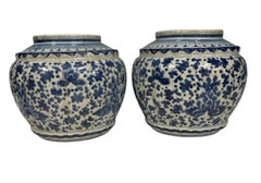Pair Blue and White Porcelain Ginger Jars Chinese Urns