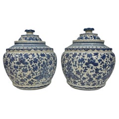 Pair Blue and White Porcelain Ginger Jars Chinese Urns