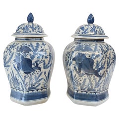 Pair Blue and White Porcelain Ginger Jars Goldfish Urn Ming