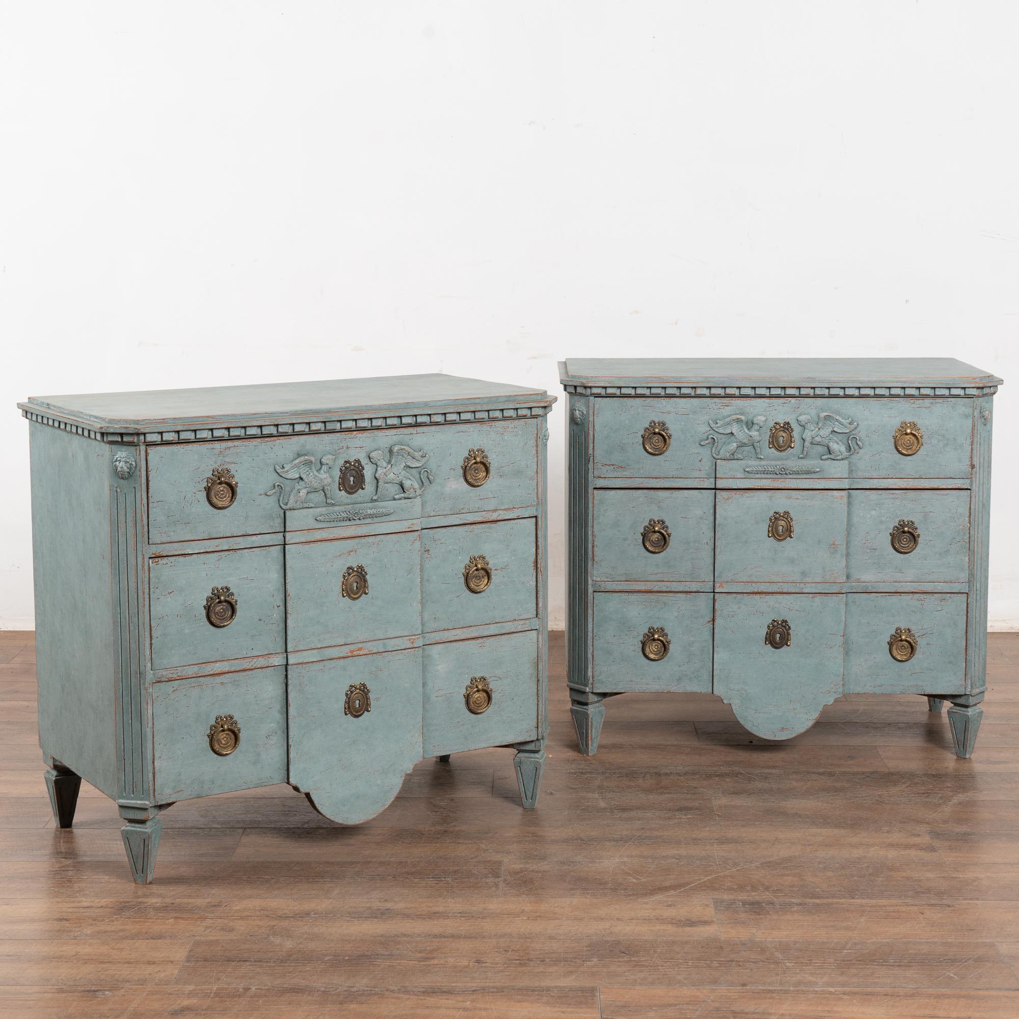 A pair of elegant Gustavian pine chests of three drawers painted in soft  blue with pair of griffins highlighting the top drawer.
Canted fluted side posts with upper carved lion head medallion, dentil molding, raised on four tapered fluted