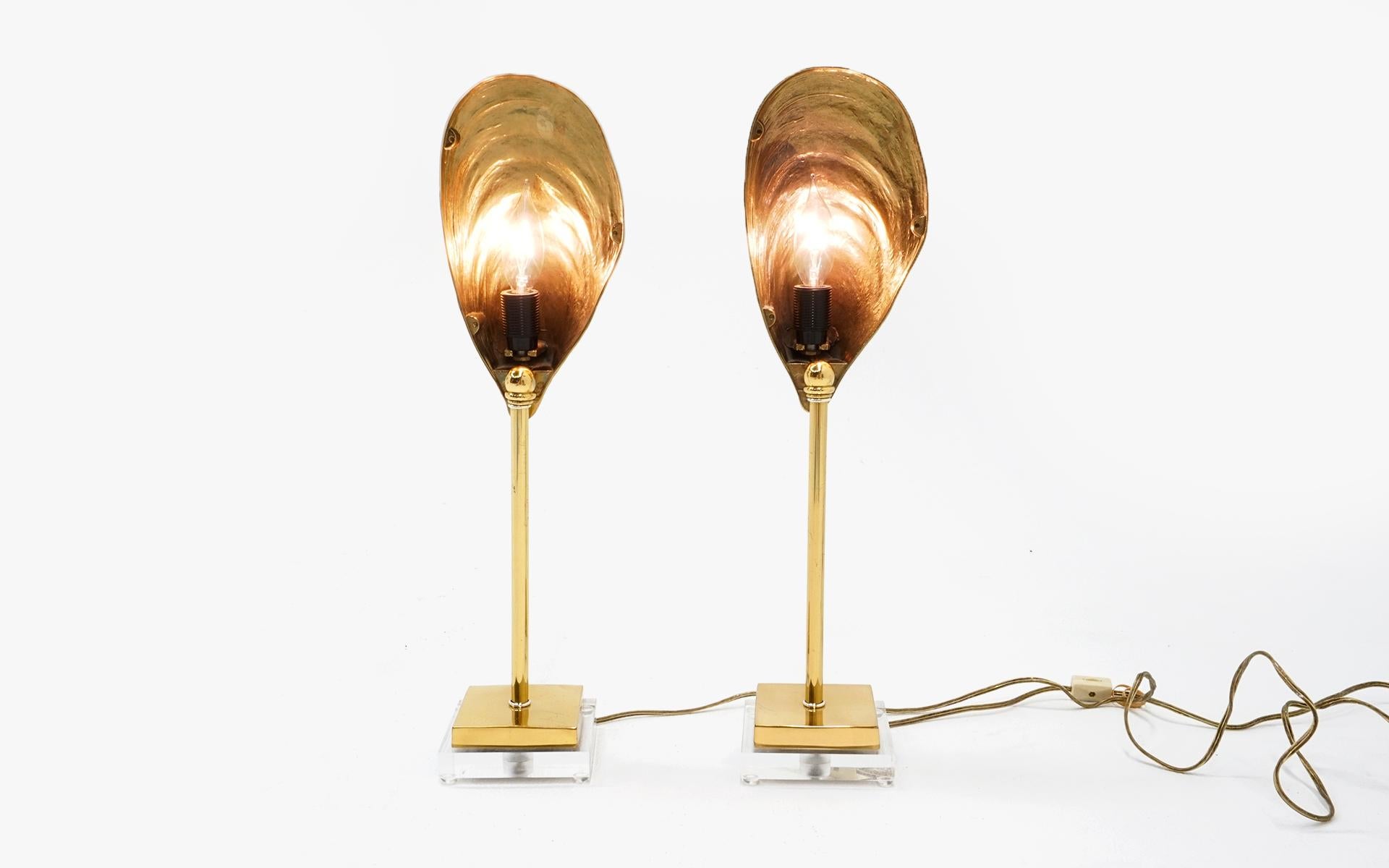 Brass Shell Table Lamps, France, Solid Brass, Lucite, Excellent Condition, Pair (Messing)