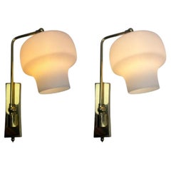 Pair Brass Solid Adjustable Wall Mounts With Opaline Schades Midcentury
