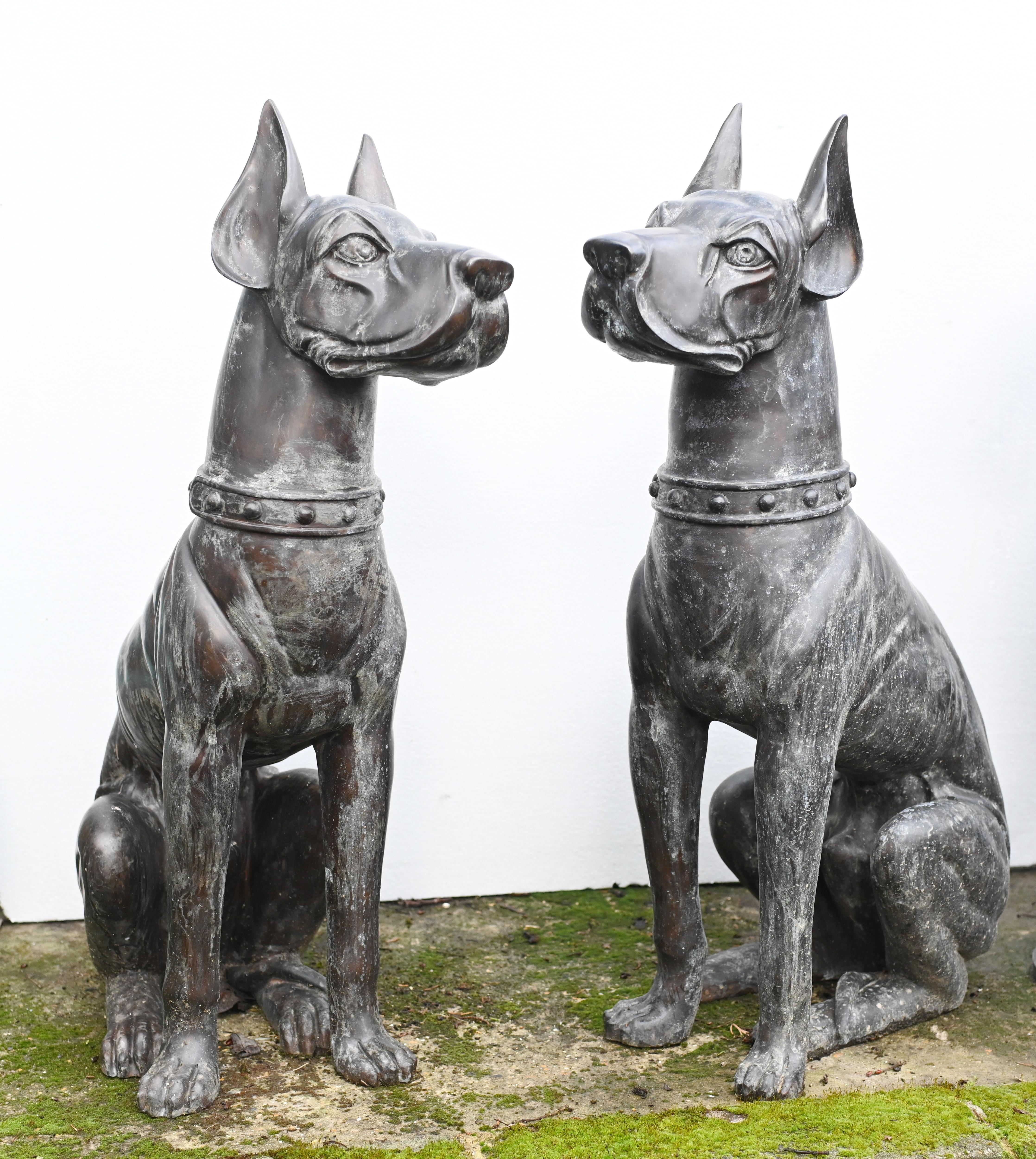 Quirky pair of large bronze boxer dogs
Good size at three feet tall - 91 CM
Lovely patina to the bronze on this characterful pair
Great for the garden and will not rust
Offered in great shape ready for home use right away
We ship to every corner of