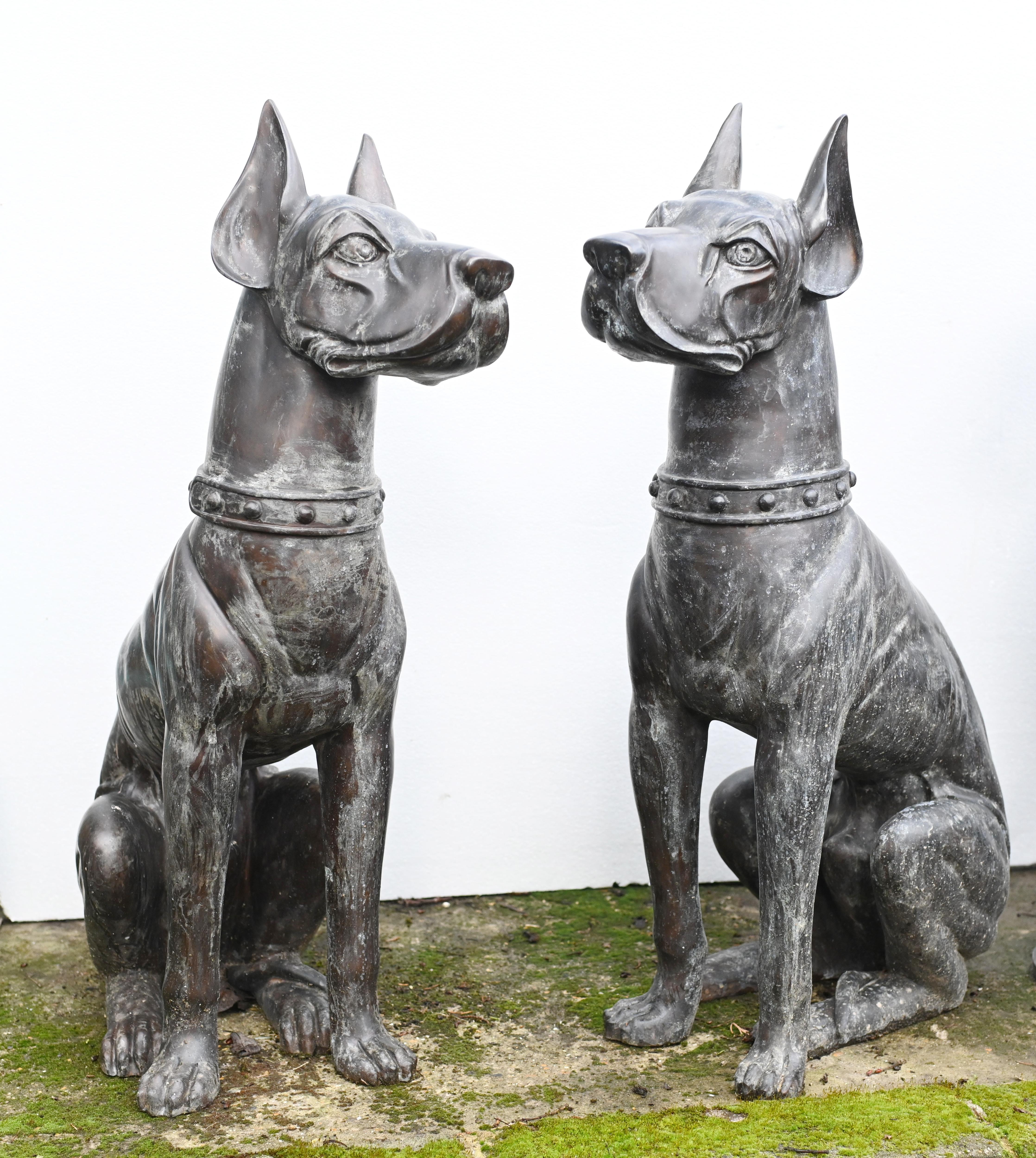 Paire de grands chiens boxer en bronze
Bonne taille à trois pieds de haut - 91 CM
Belle patine du bronze sur cette paire de caractère.
Idéal pour le jardin et ne rouille pas
Offert en grande forme, prêt à être utilisé immédiatement à la maison.
Nous