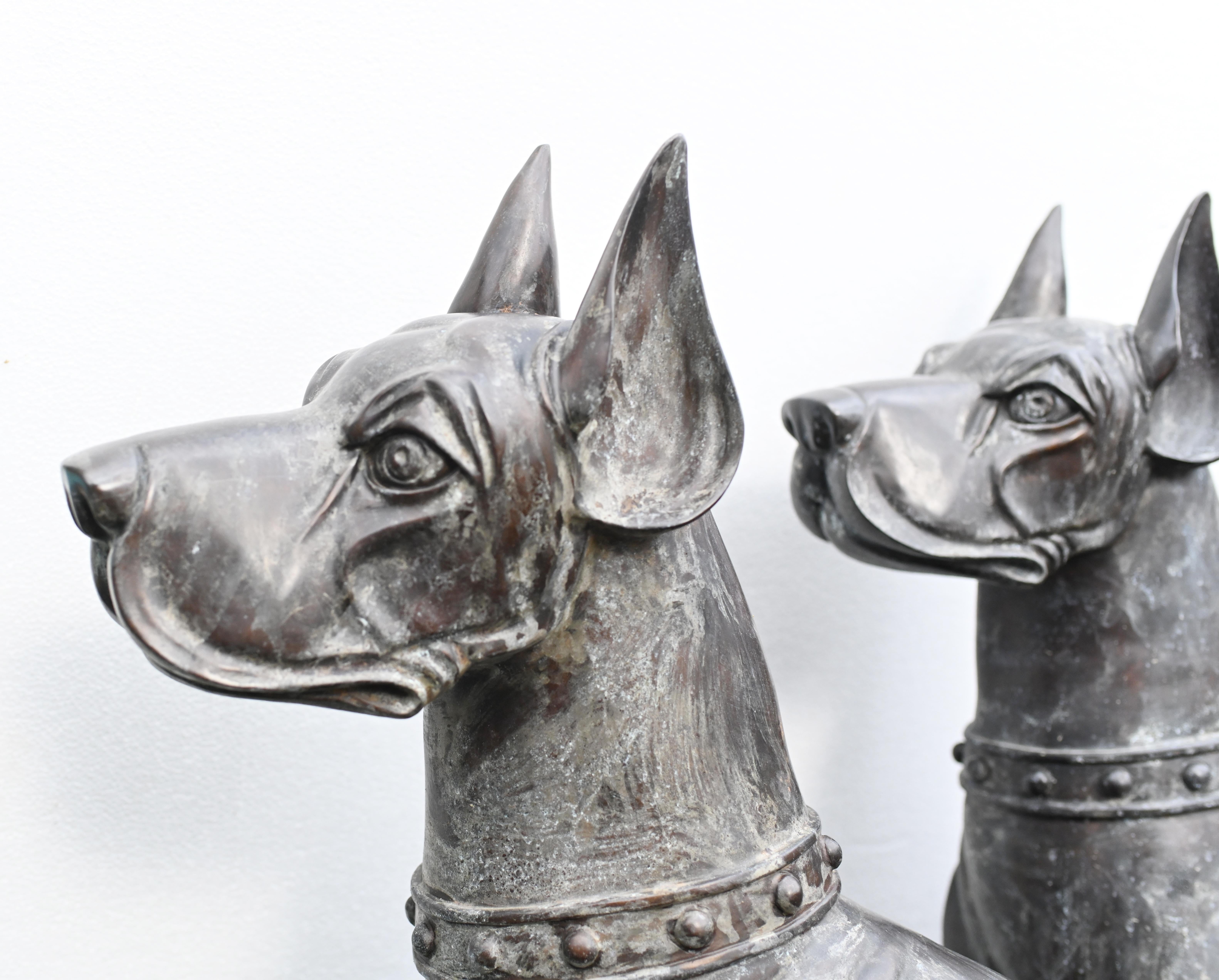 Pair Bronze Boxer Dogs Gatekeeper Garden Statues For Sale 2