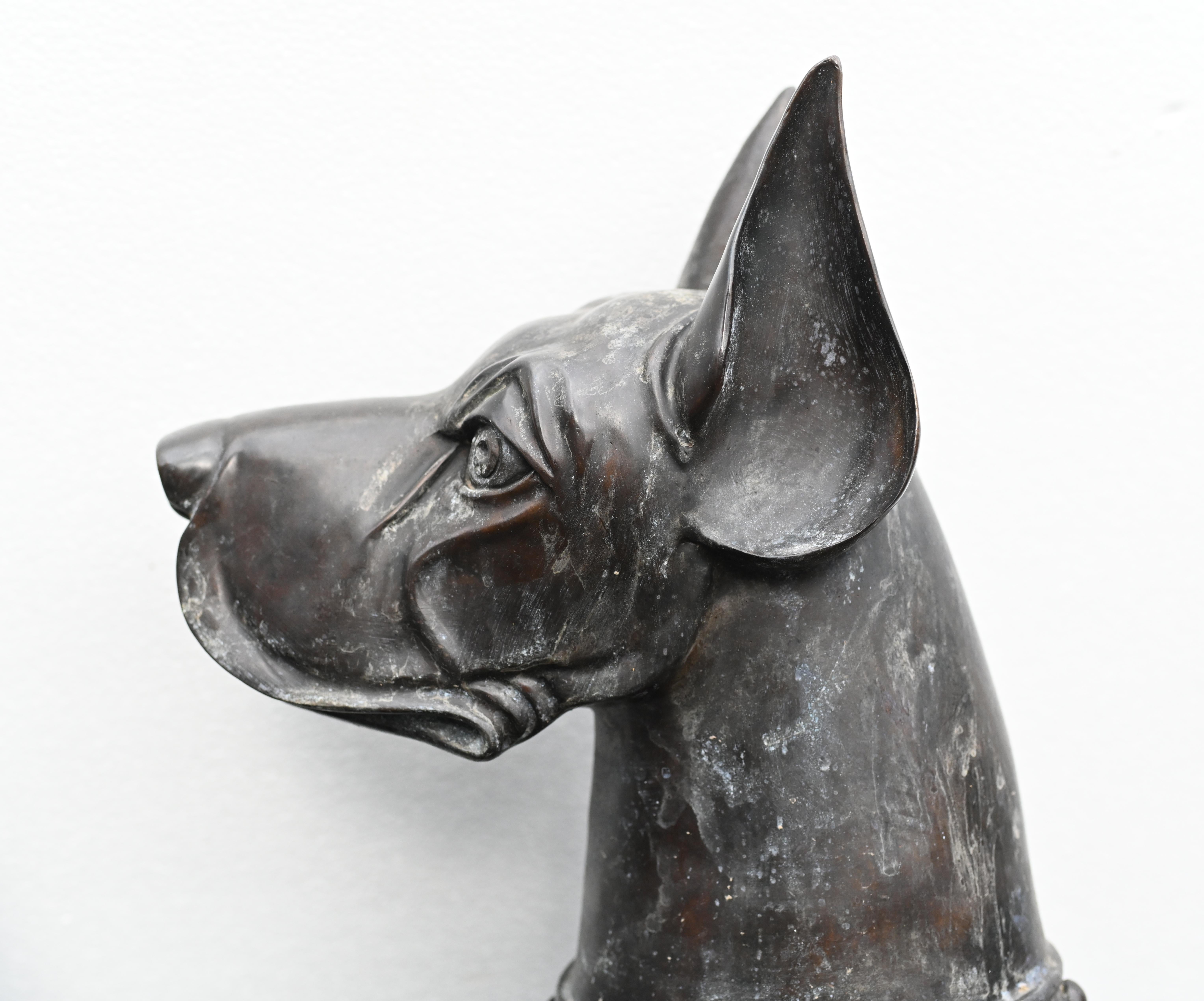 Pair Bronze Boxer Dogs Gatekeeper Garden Statues For Sale 4