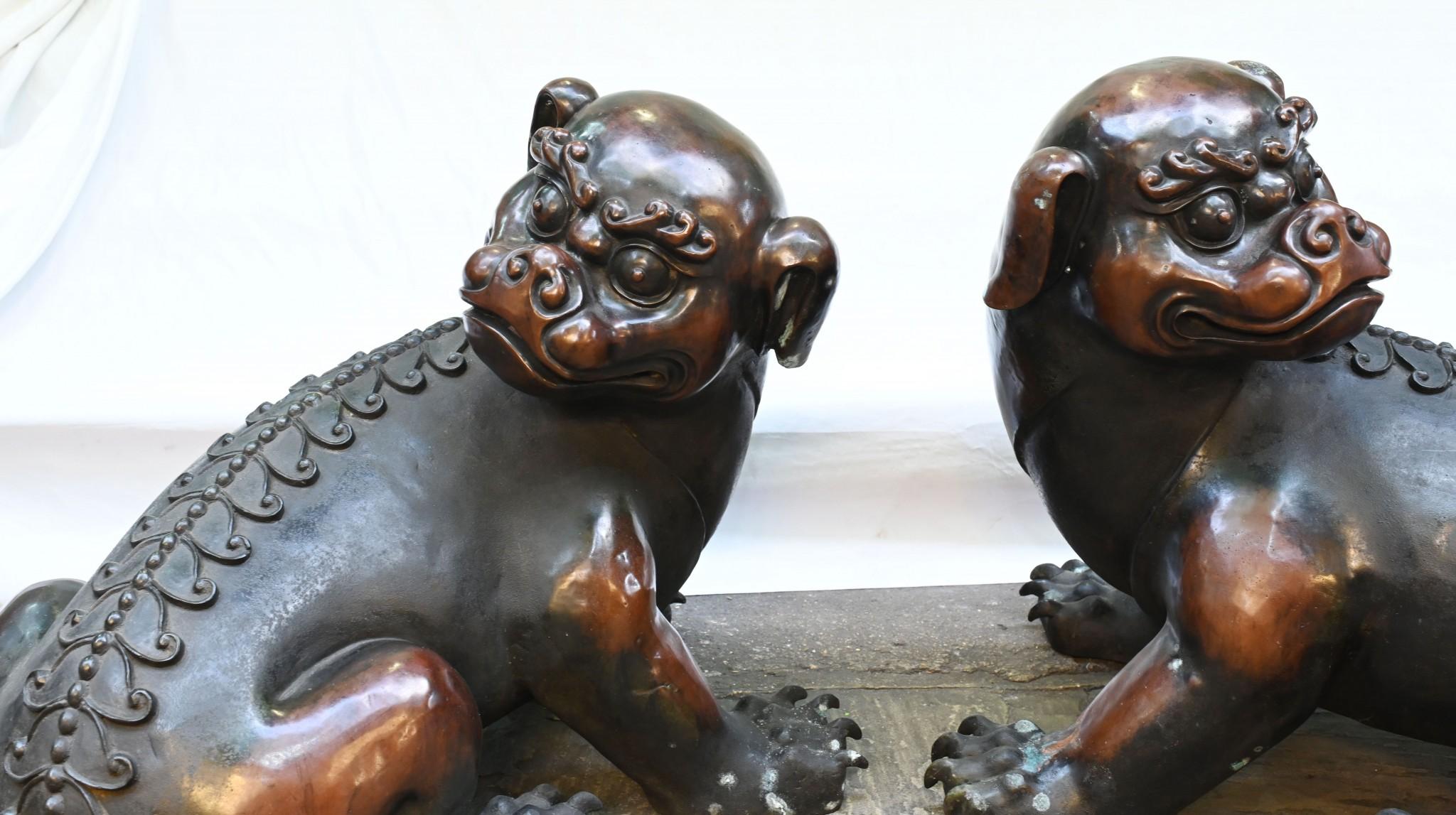 Pair Bronze Chinese Foo Dogs Guardian Lions Antique In Good Condition For Sale In Potters Bar, GB