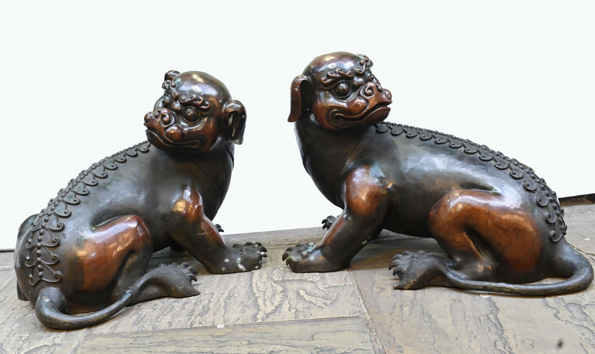 Paar chinesische Foo-Hunde, Guardian Lions, Bronze, antik, Paar im Angebot 1