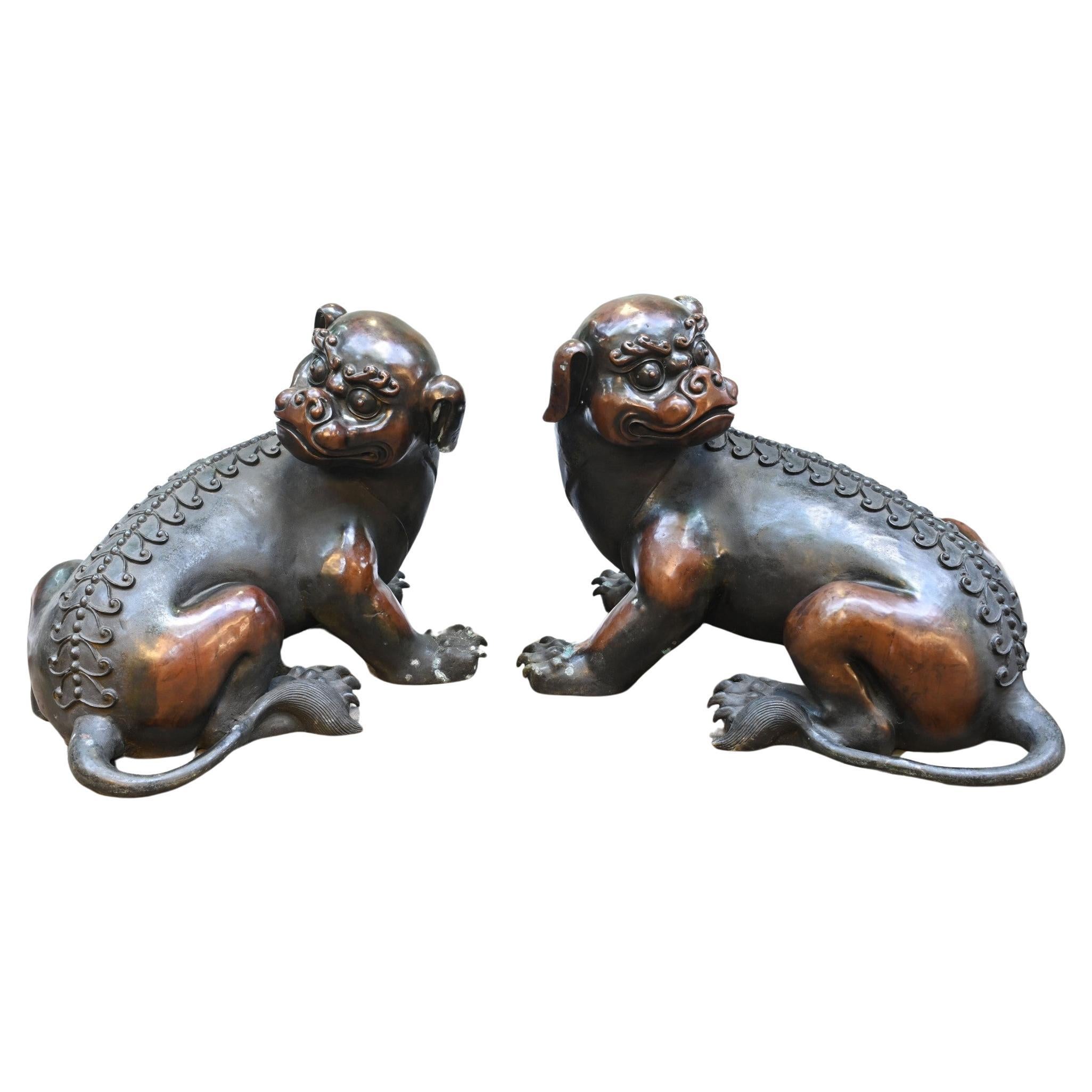 Pair Bronze Chinese Foo Dogs Guardian Lions Antique For Sale
