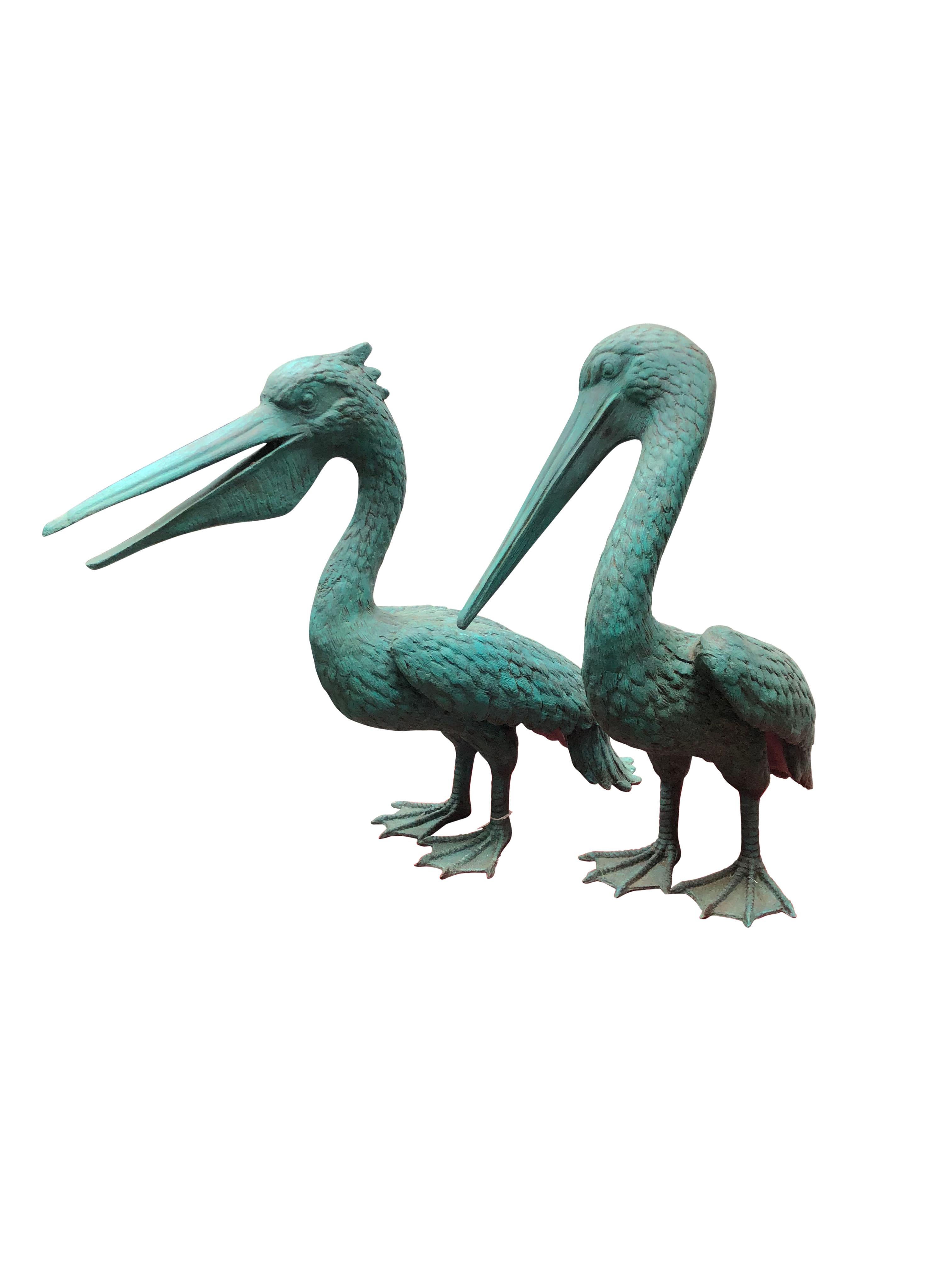 An unusual and gorgeous pair of bronze pelicans, 20th century. These would make for a great garden statue and they are both offered in excellent condition. Of course being bronze they can live outside with no fear of rusting. Pelican's are majestic