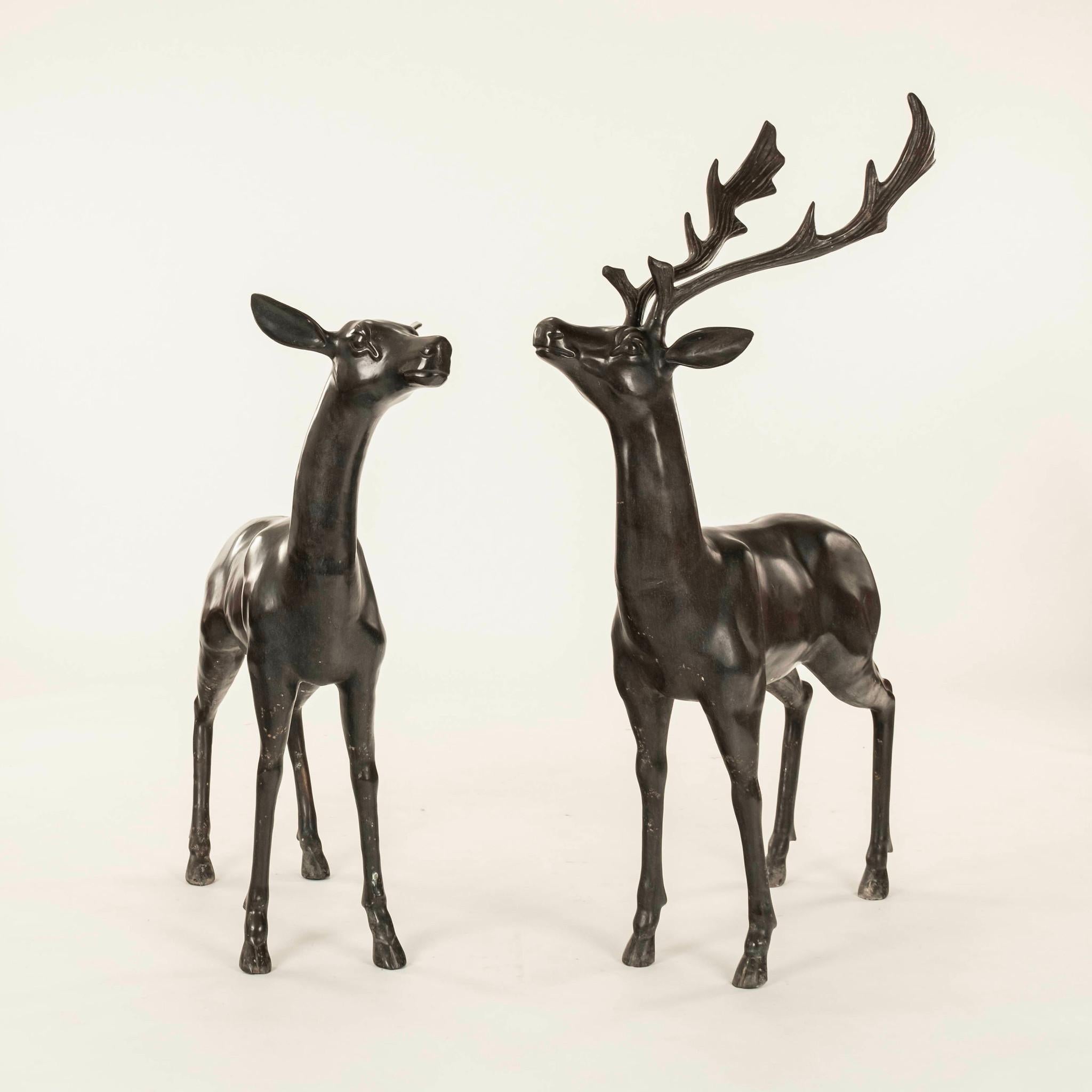 Pair of 20th Century bronze stag and doe statues. 

Overall stag dimensions:58