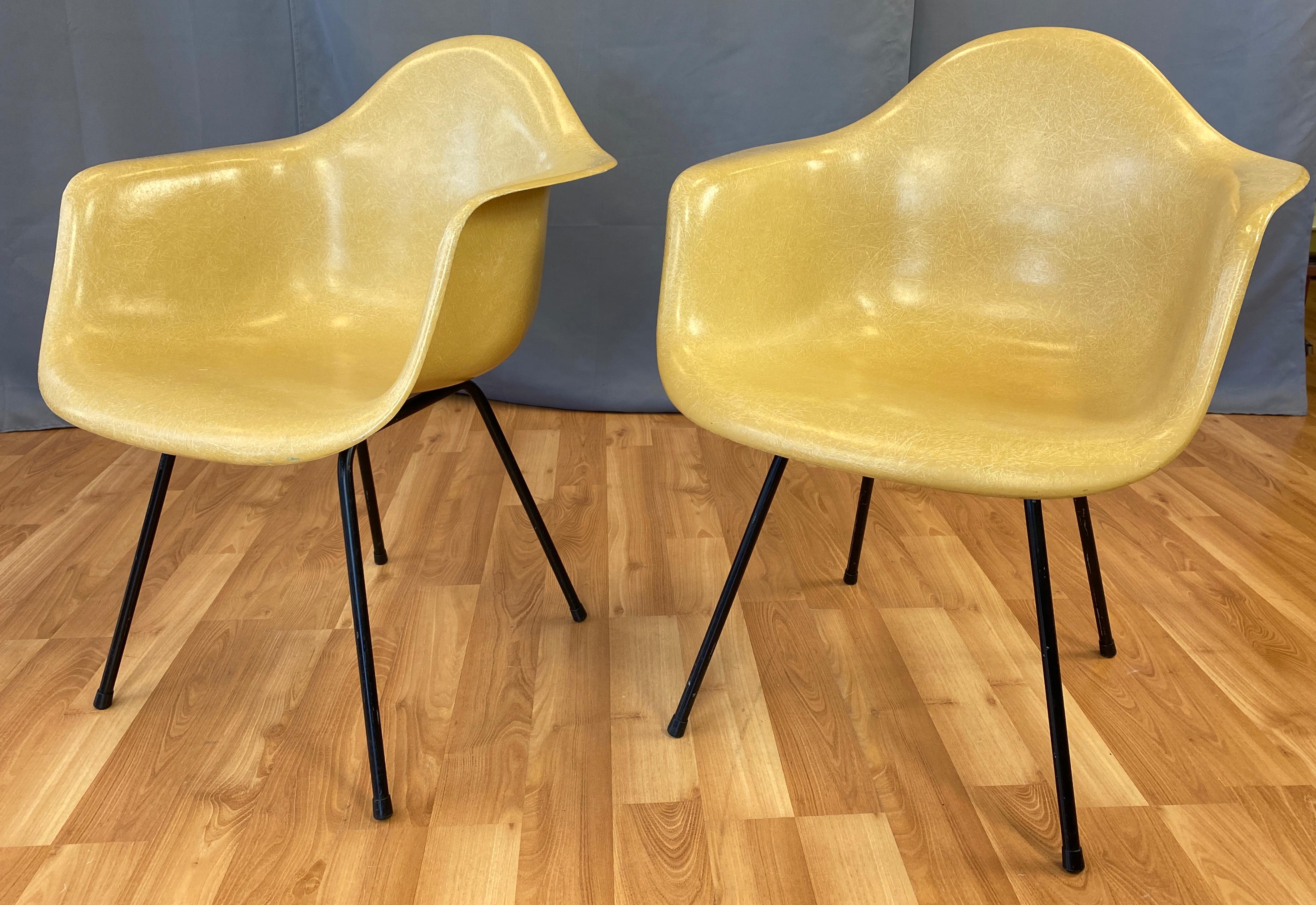 Offered here is a pair of circa 1960s Charles Eames designed fiberglass shell armchairs for Herman Miller.
They sit on black color bases, with the shells in what you could say is Dijon Mustard color.
Both have an 