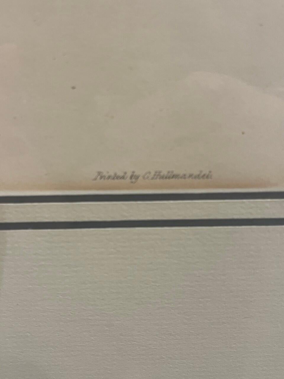 Paar original gestochene Lithos von Edar Lear aus den 1830er Jahren Schwäne (19. Jahrhundert) im Angebot