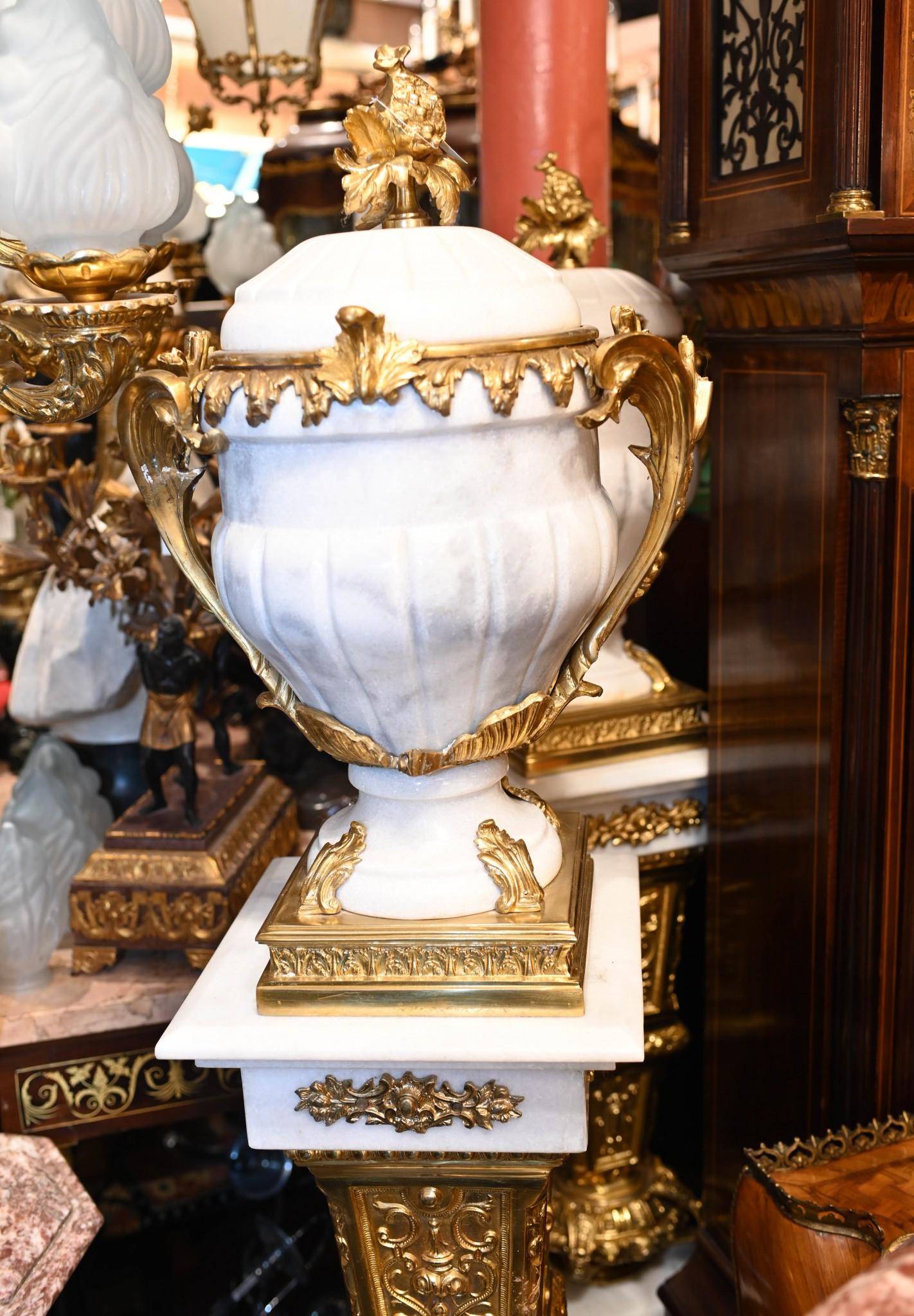 Paar Carrera Marmor Pedestal Ständer Urnen Ormolu Louis XVI im Angebot 1