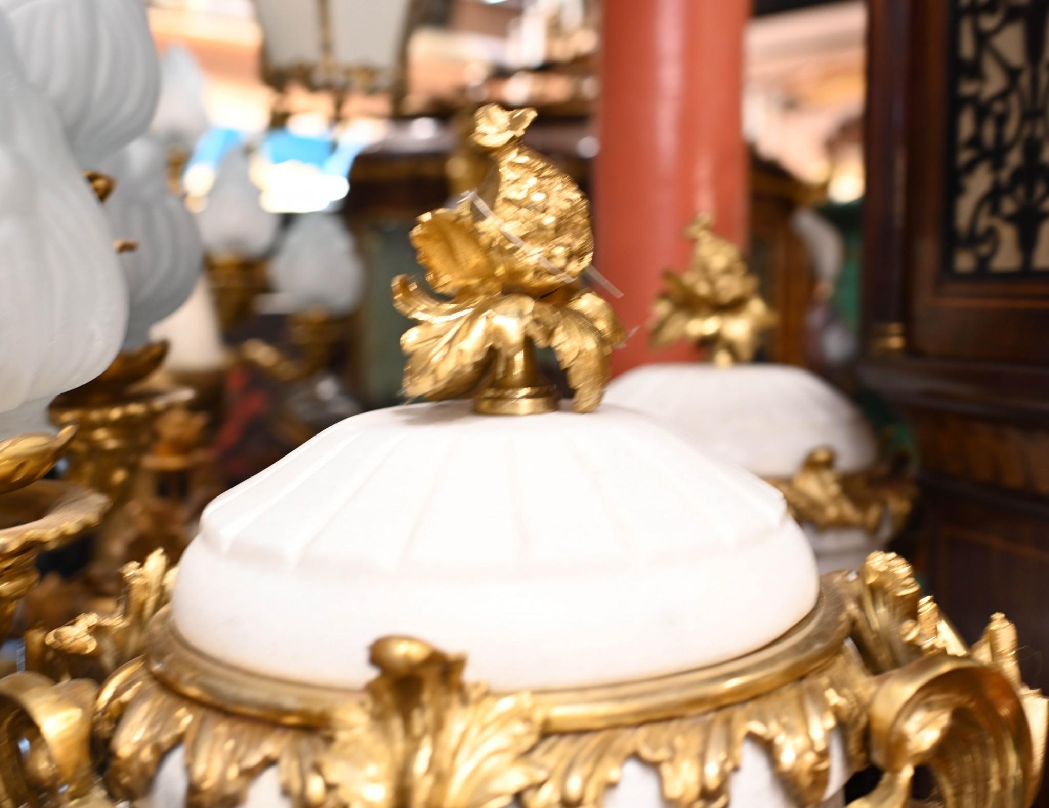 Paar Carrera Marmor Pedestal Ständer Urnen Ormolu Louis XVI im Angebot 2