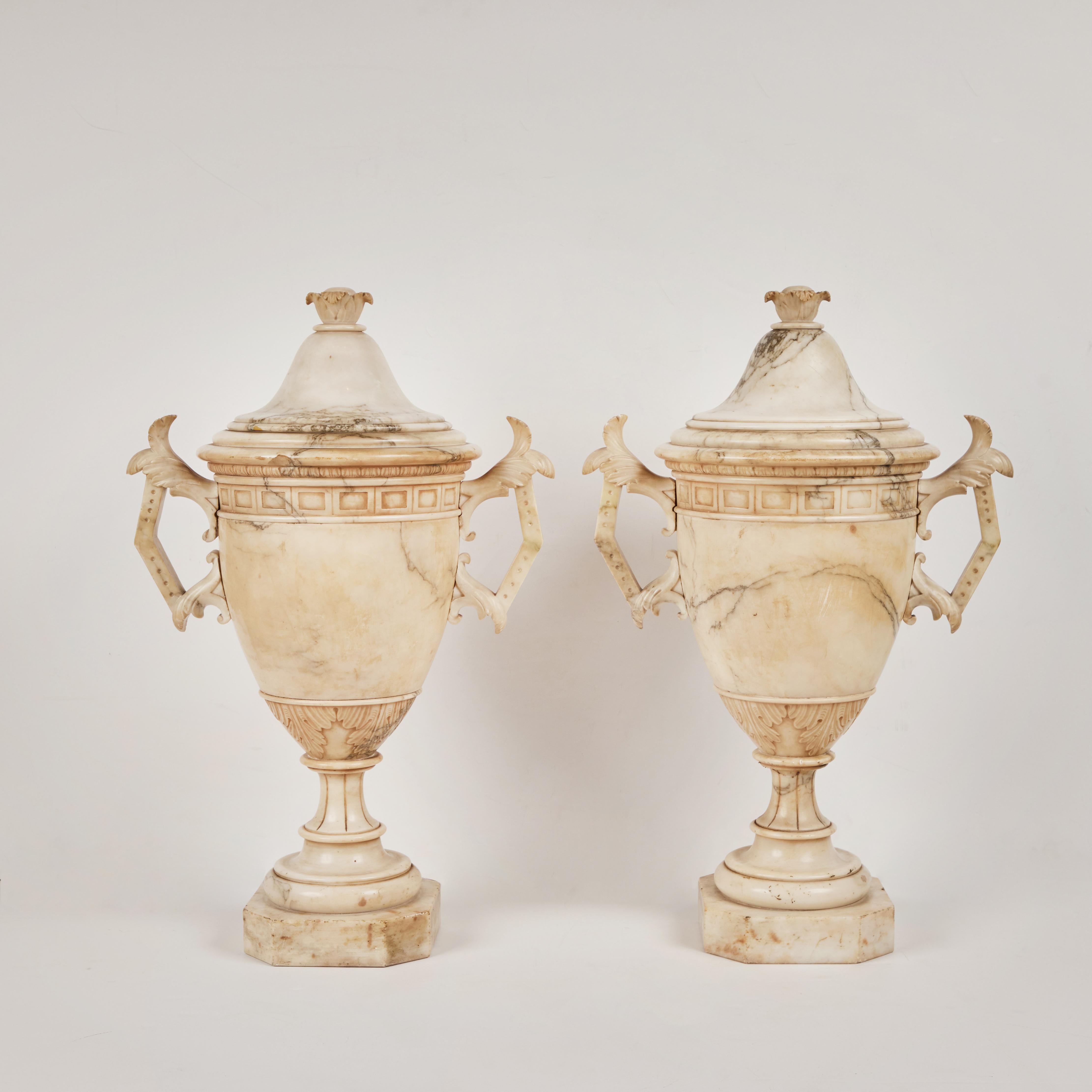 Neoclassical Pair Carved Alabaster Urns