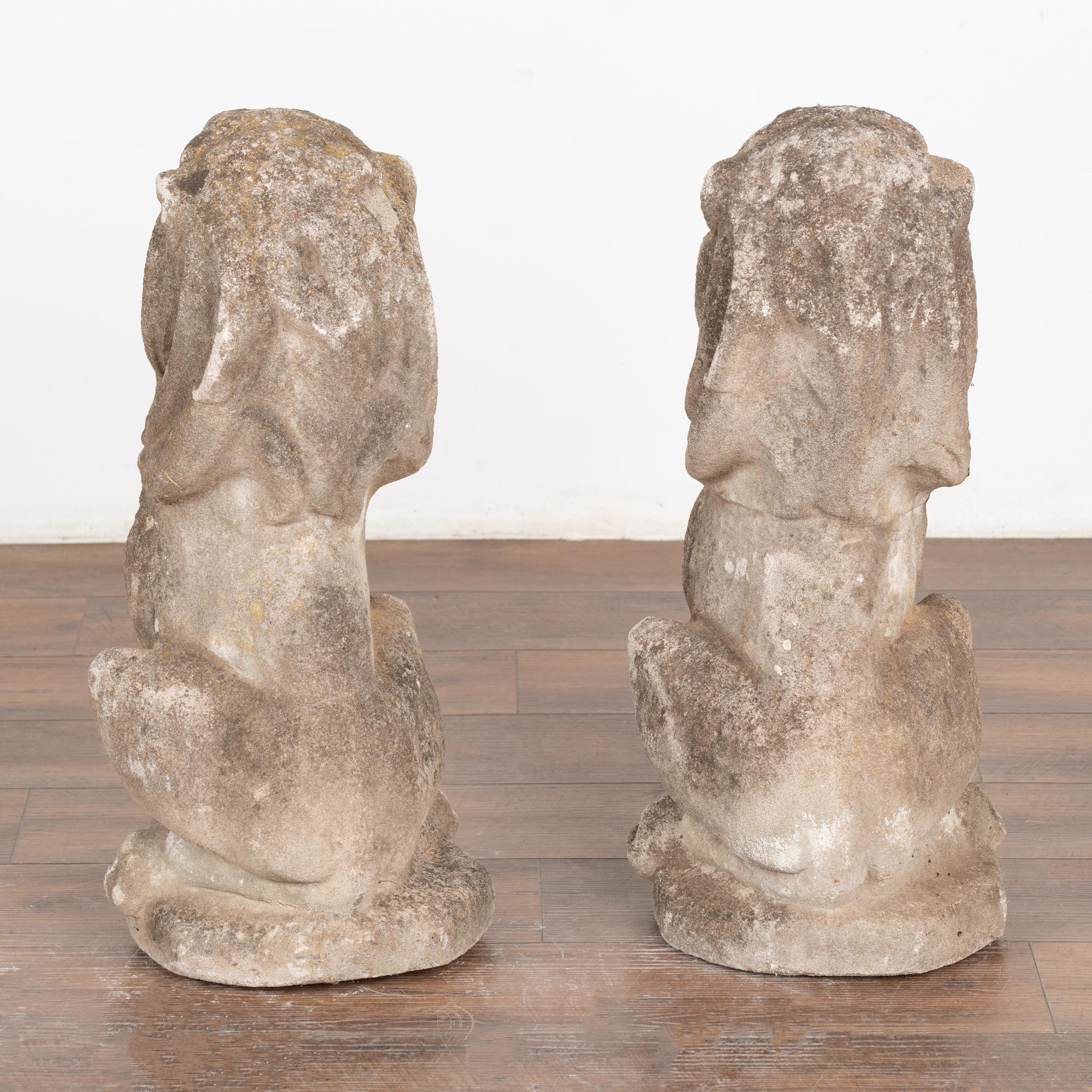 Paire de statues de jardin en forme de lion en pierre calcaire sculptée, Danemark vers 1920-40 en vente 4