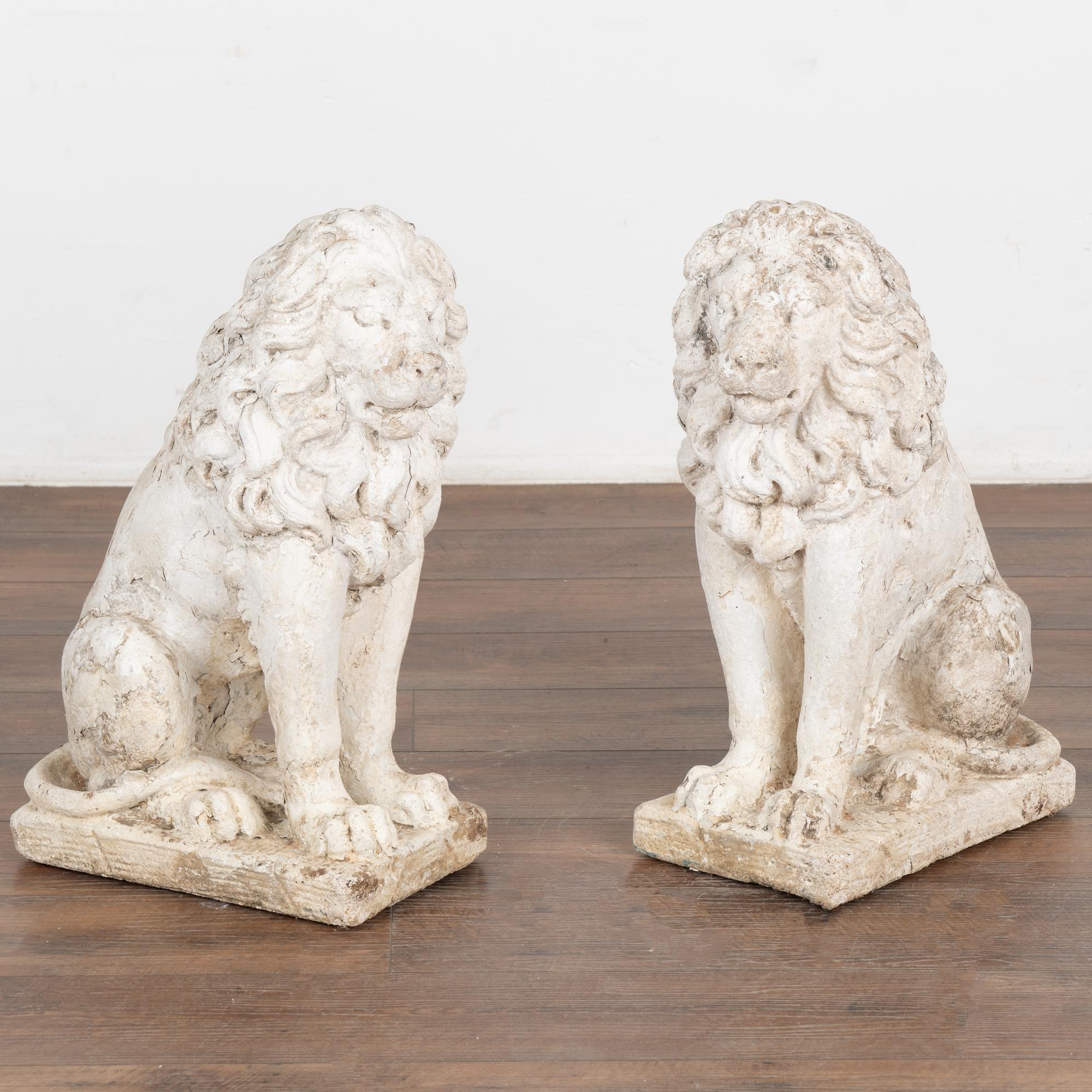 Pair, lion statues carved in limestone and painted white. Male lions with impressive manes are in sitting position.
The aged patina including distress to finish, wear, old lichen/stains, cracks, peeling paint all reflect generations of sitting