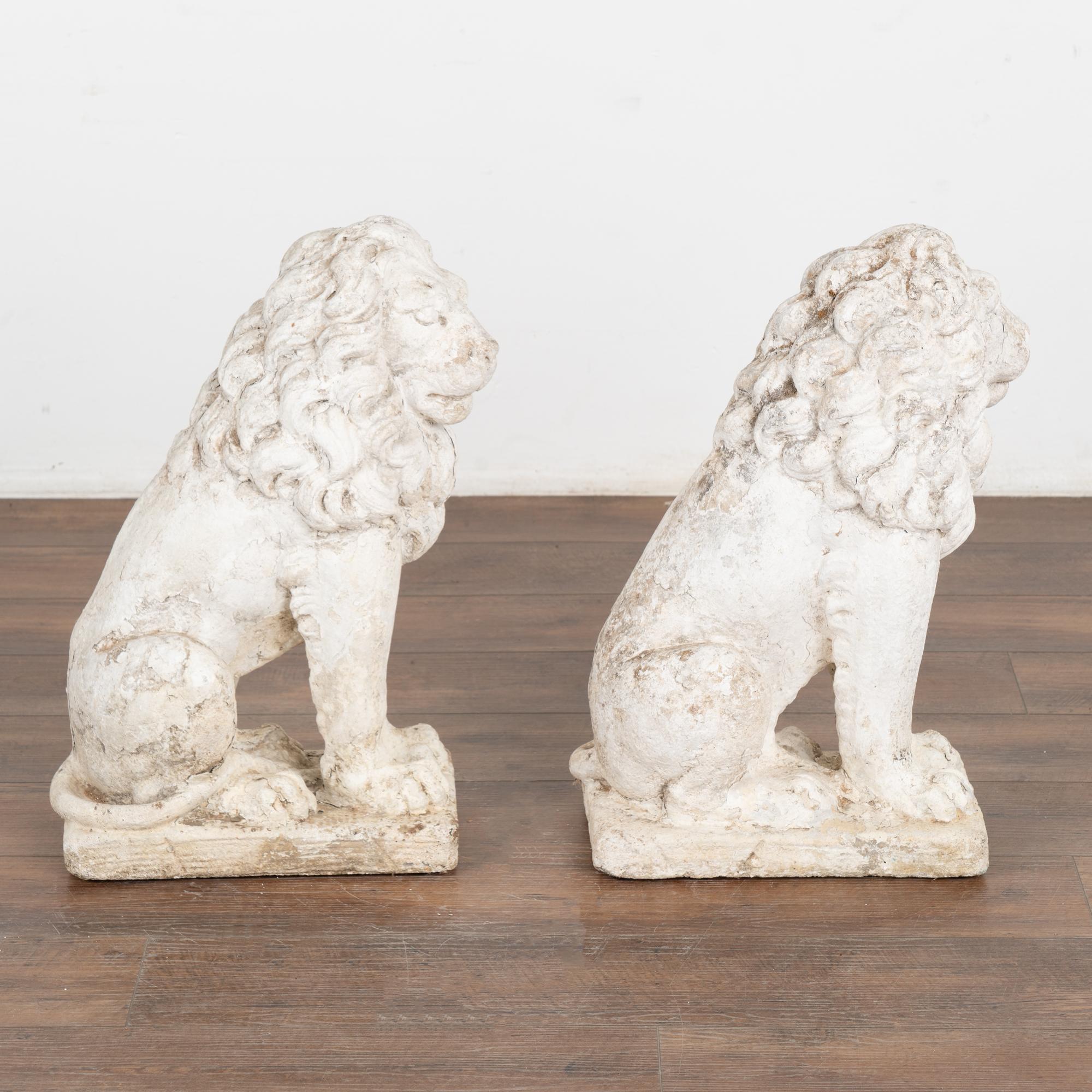Classical Roman Pair, Carved Lion Garden Statues Painted White, Denmark circa 1920-40 For Sale