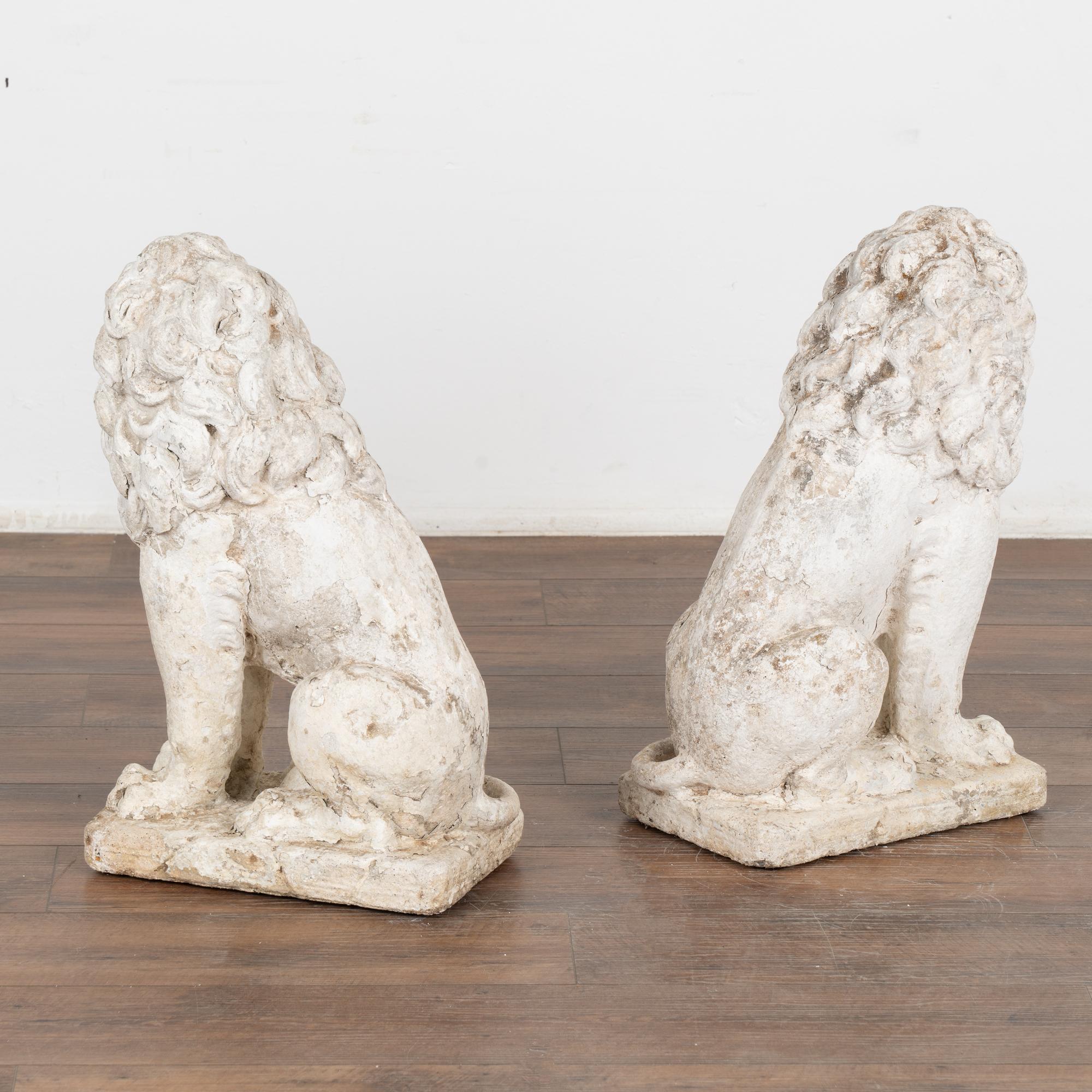 Pair, Carved Lion Garden Statues Painted White, Denmark circa 1920-40 For Sale 2