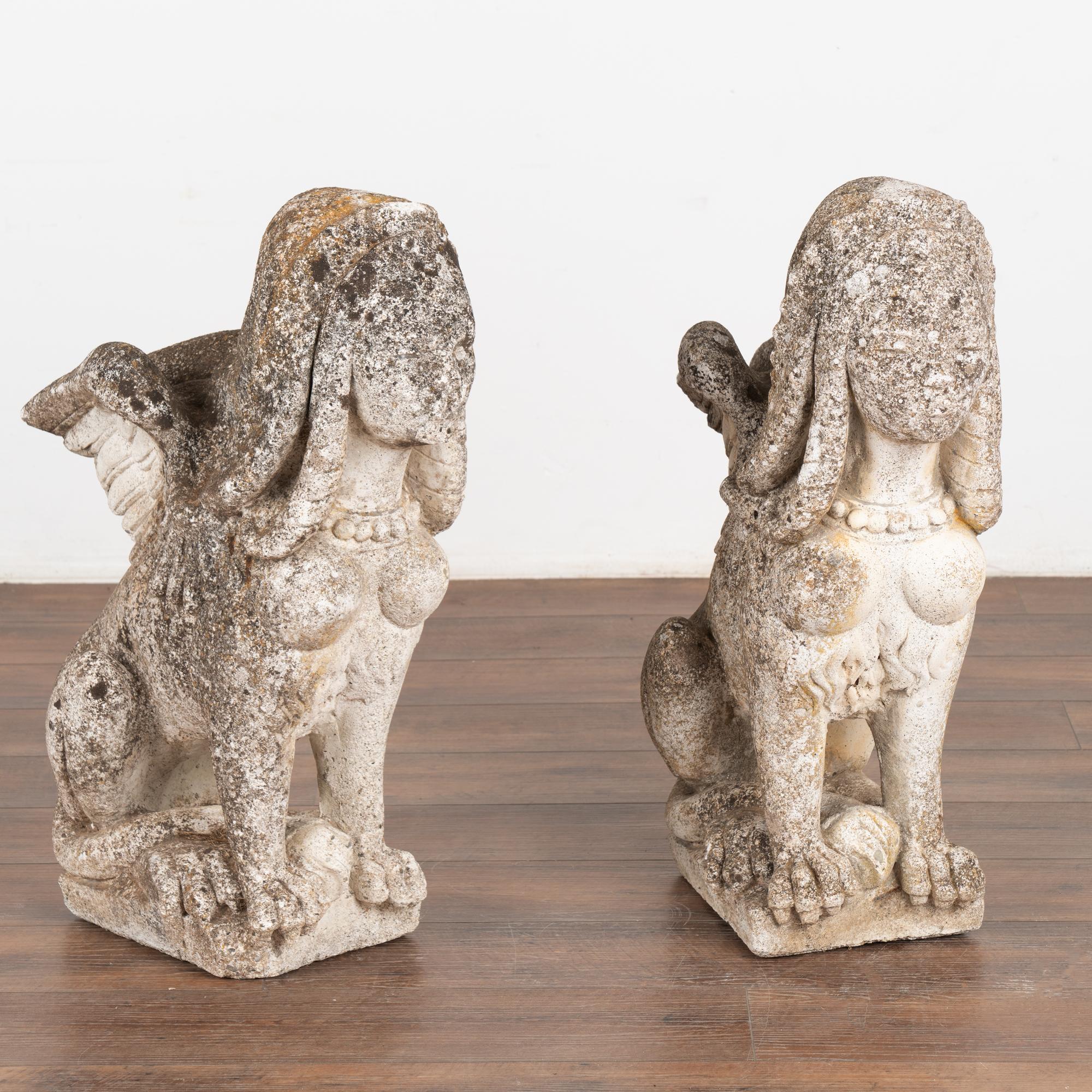 Pair of Egyptian sphinx carved limestone statues that embody a rich history and timeless charm each with the head of a human, body of a lion and wings of an eagle. The worn patina reflects years of exposure outside in the elements, leaving an aged