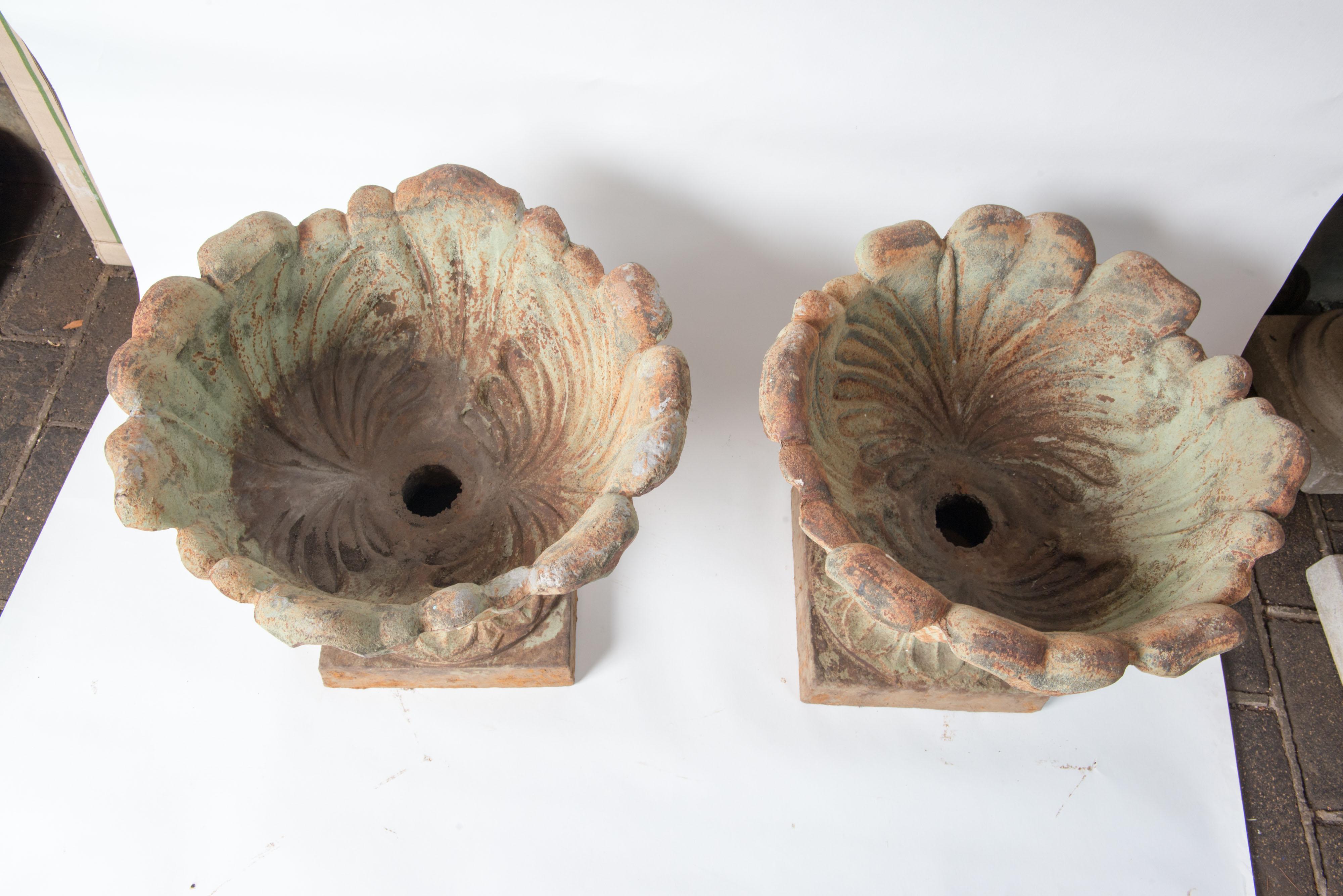 American Pair Cast Iron Foliate Form Urns