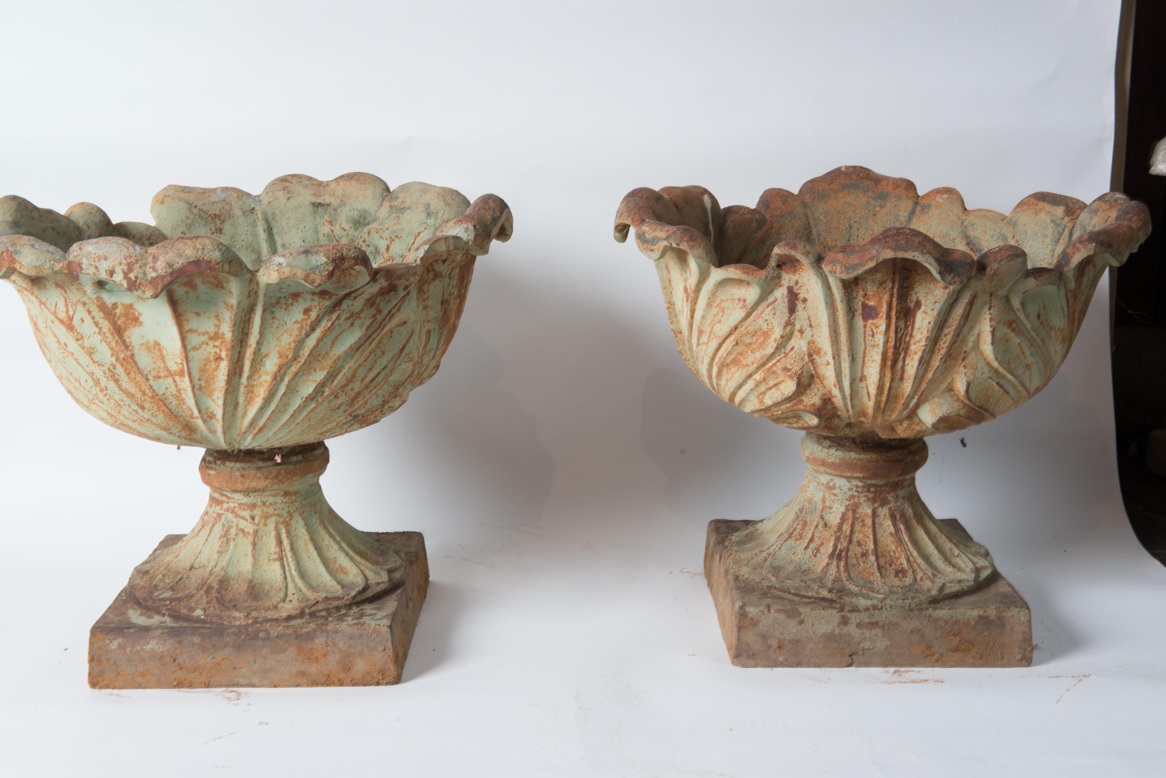 Pair Cast Iron Foliate Form Urns 4