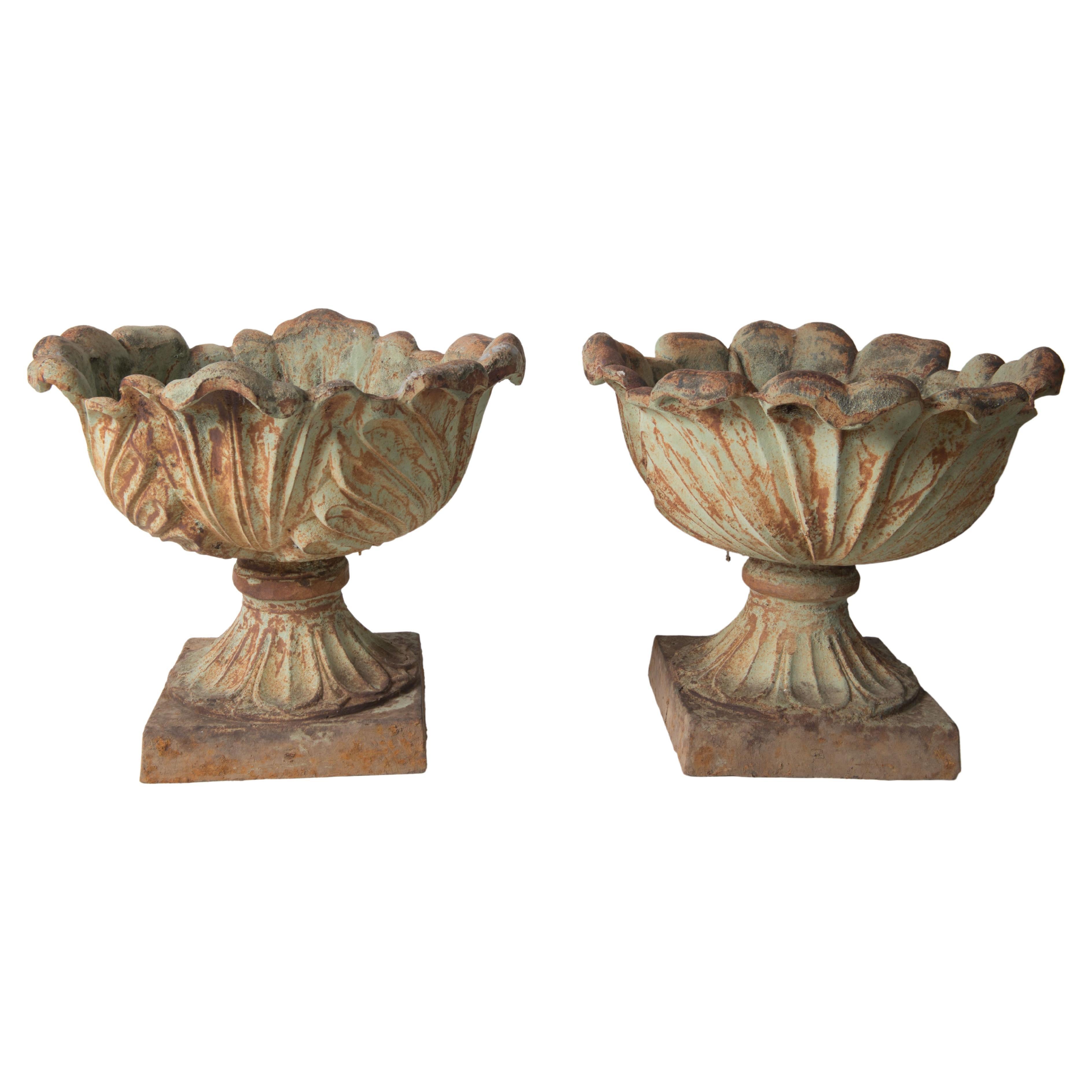 Pair Cast Iron Foliate Form Urns