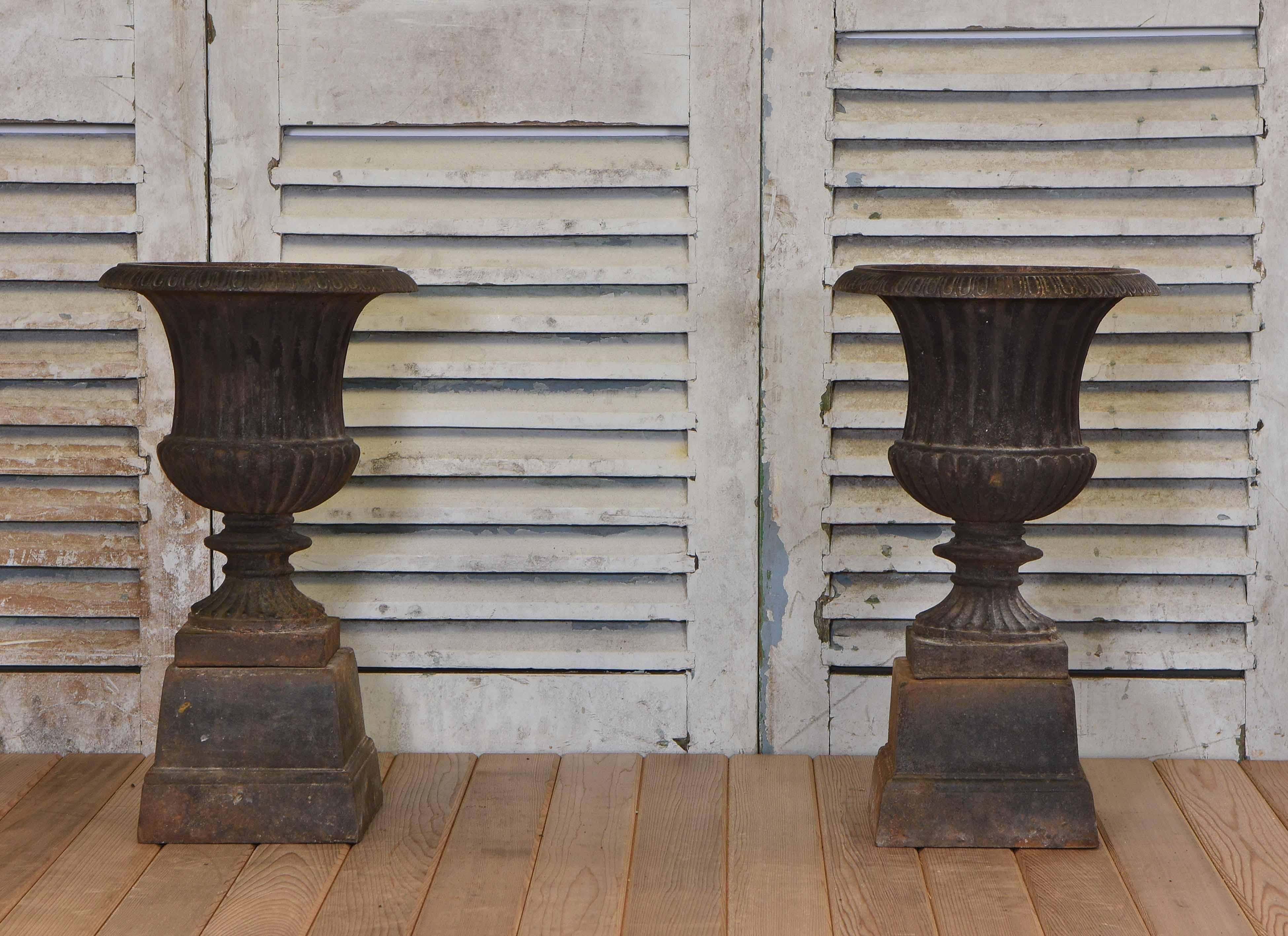 Pair of small 20th century cast iron matching garden urns of Campana form.

The urns stand on stepped plinth bases, with outward swept rims, and egg and dart decoration on fluted bodies. Natural wear and patina commensurate with age.

The sale is