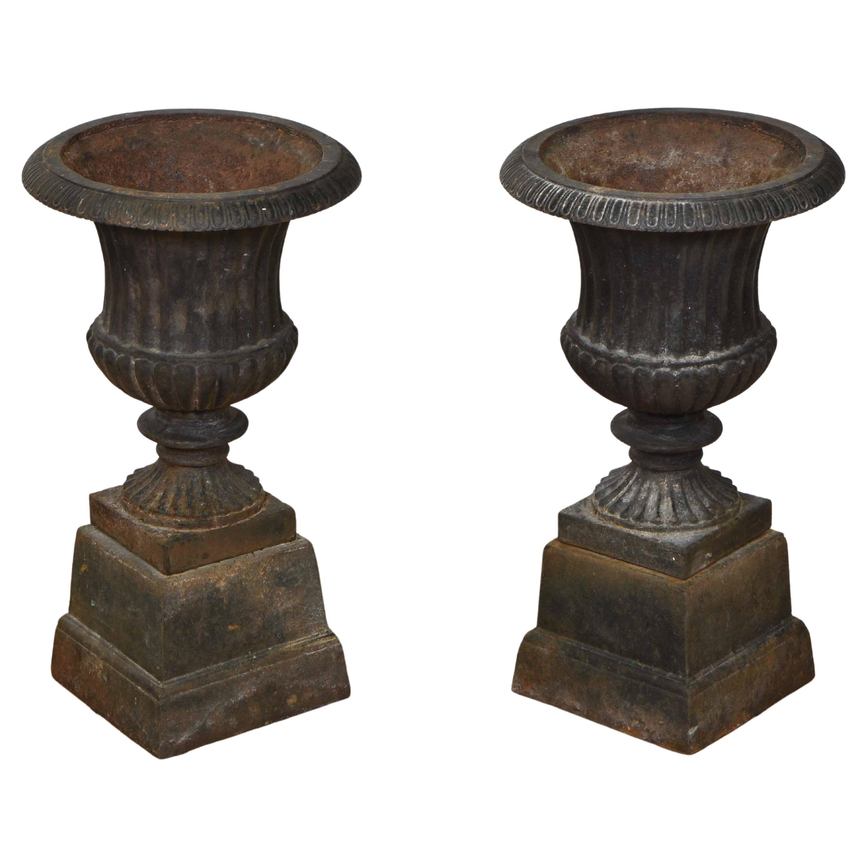 Pair Cast Iron Garden Urns on Stands For Sale