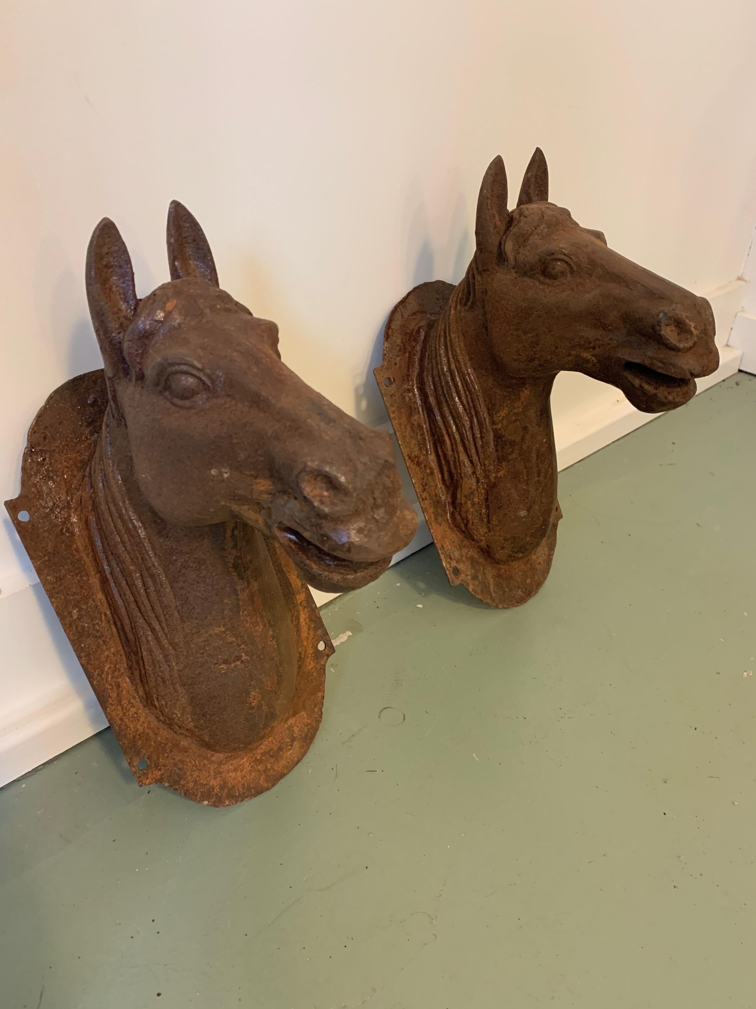 Beautiful pair of cast iron horse heads found in Pennsylvania, circa early 20th century. Wonderful rusted patina. Wall mounted. Roman ended back plates.
 13 inches high x 7 inches wide.
  
