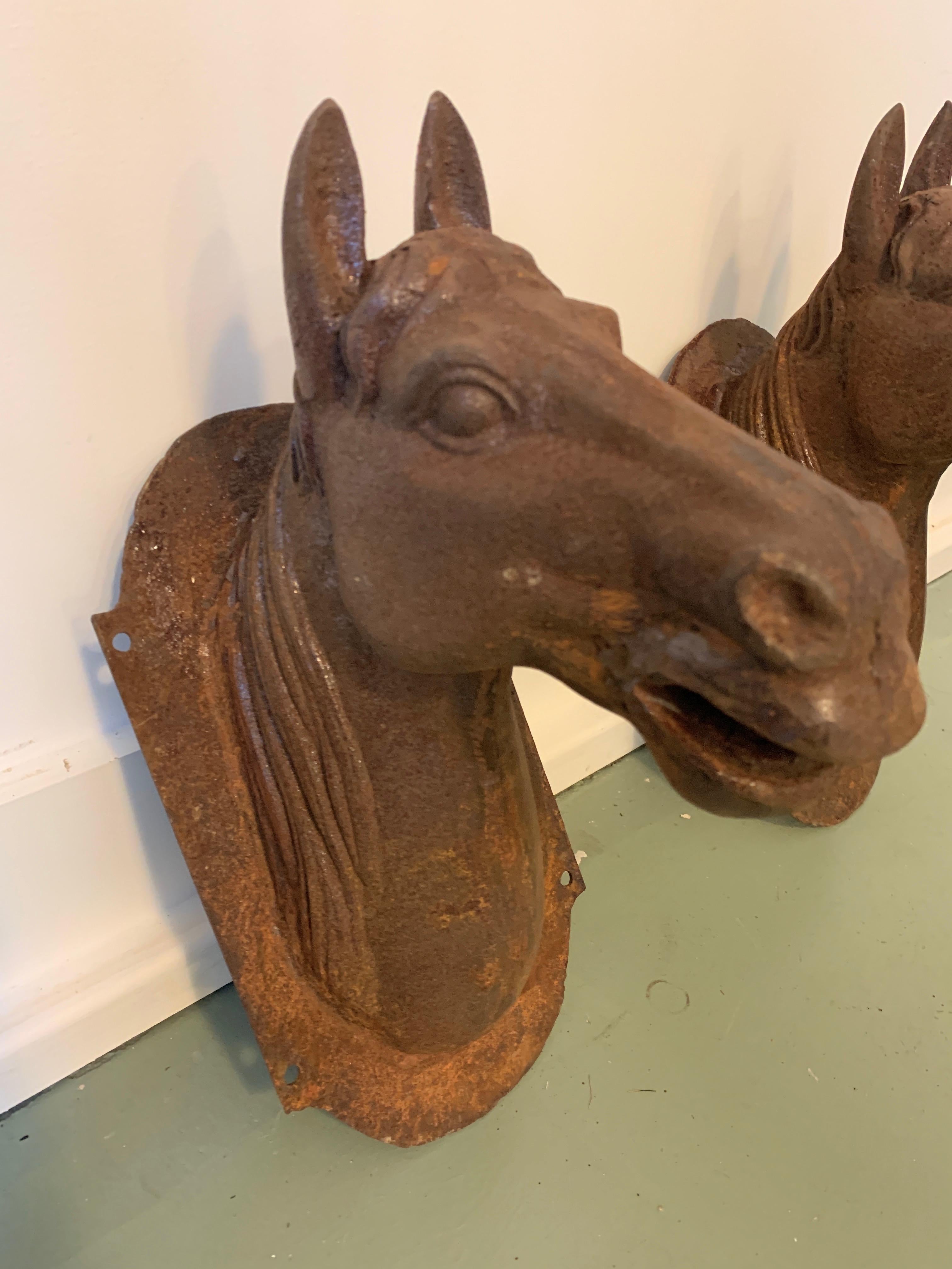 American Pair of Cast Iron Horse Heads