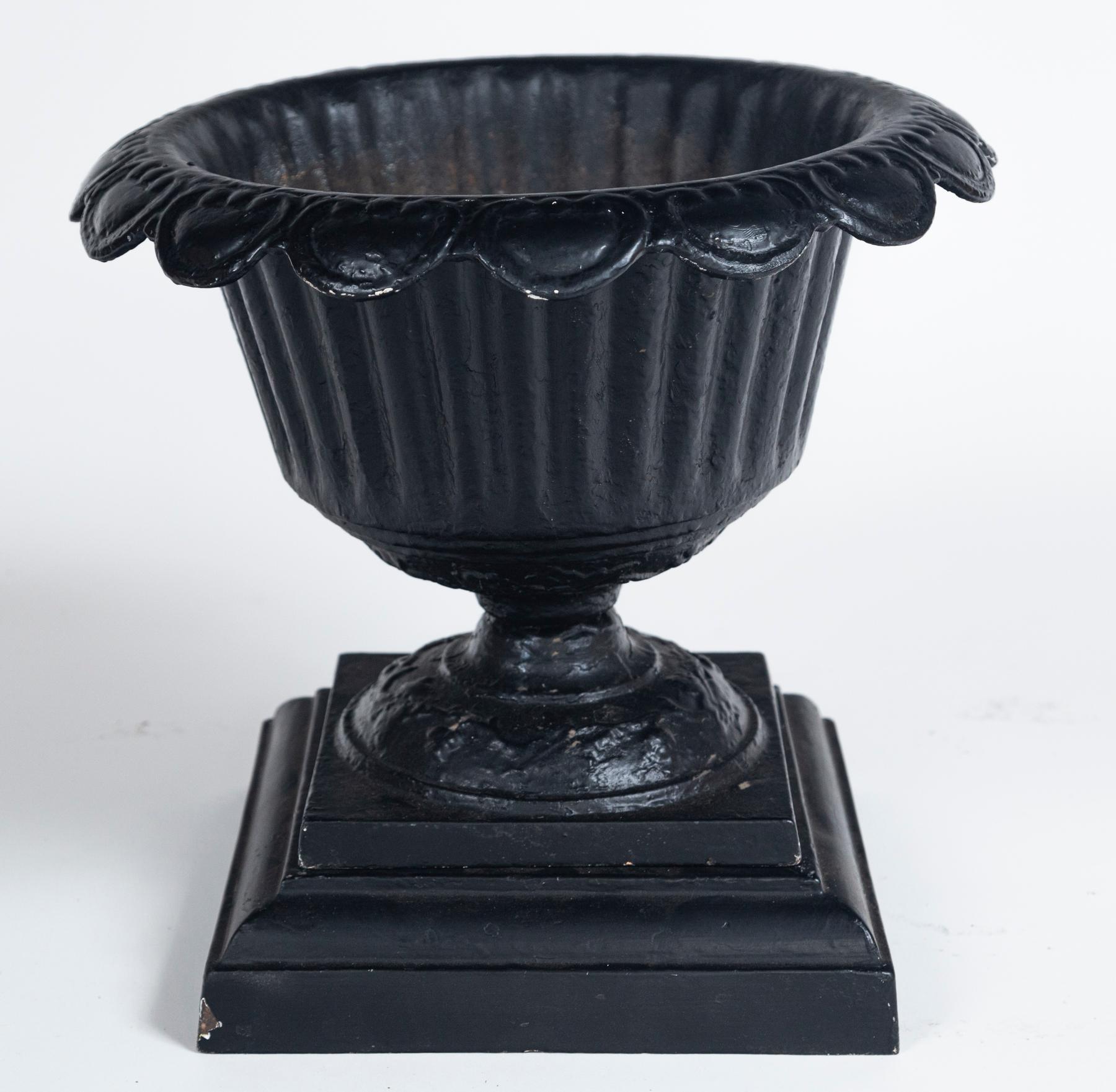 Pair Cast Iron Urns on Bases, early 20th Century 1