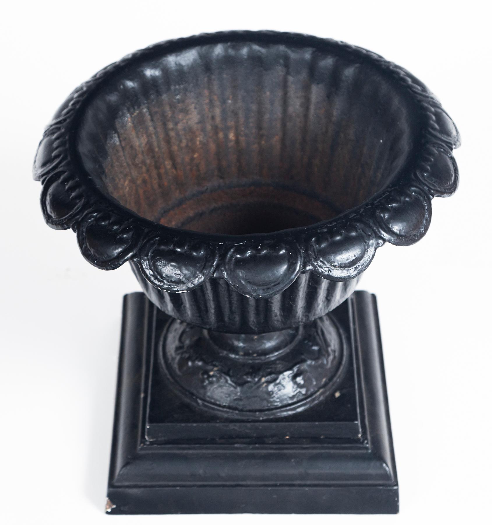 Pair Cast Iron Urns on Bases, early 20th Century 2