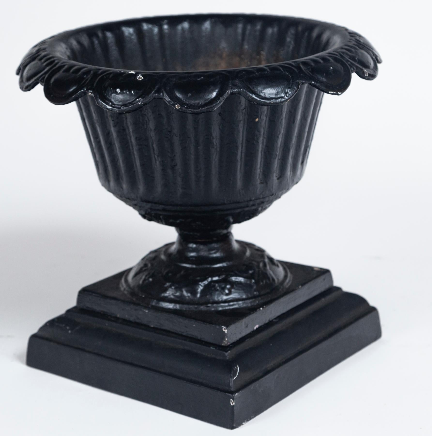 Pair Cast Iron Urns on Bases, early 20th Century 3