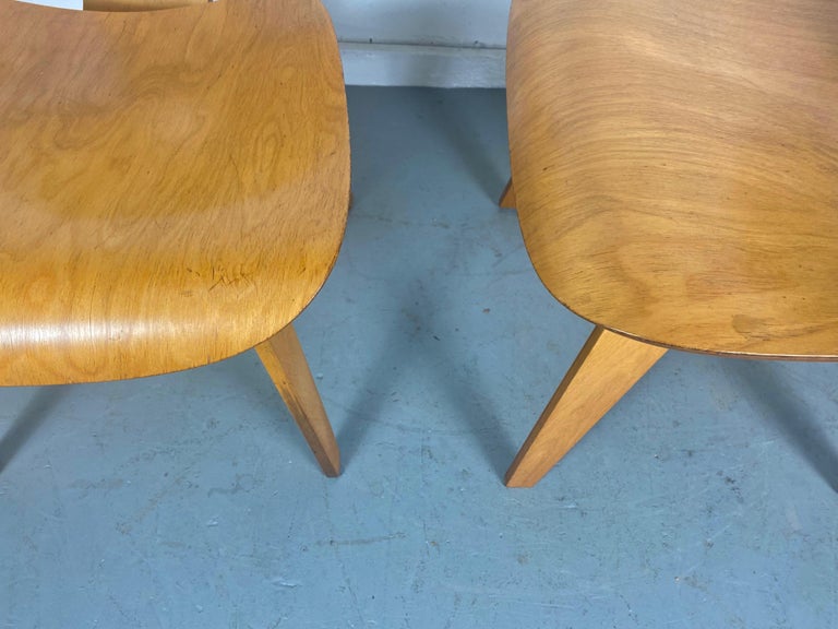 Pair Charles Eames D C W 'dining chairs' Herman Miller For Sale 6