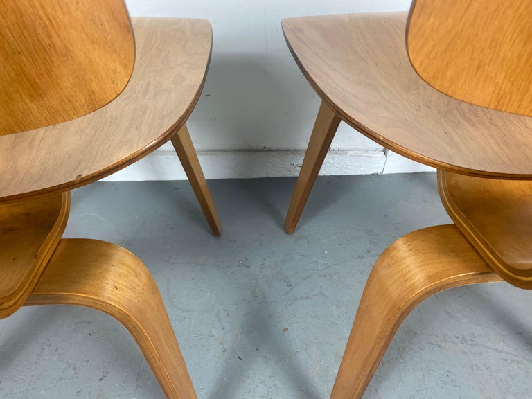 Mid-20th Century Pair Charles Eames D C W 'dining chairs' Herman Miller For Sale