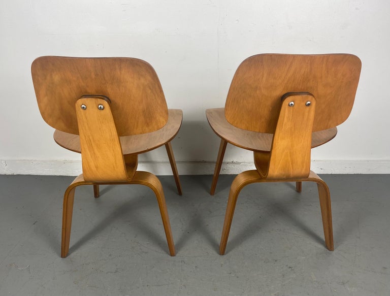Plywood Pair Charles Eames D C W 'dining chairs' Herman Miller For Sale