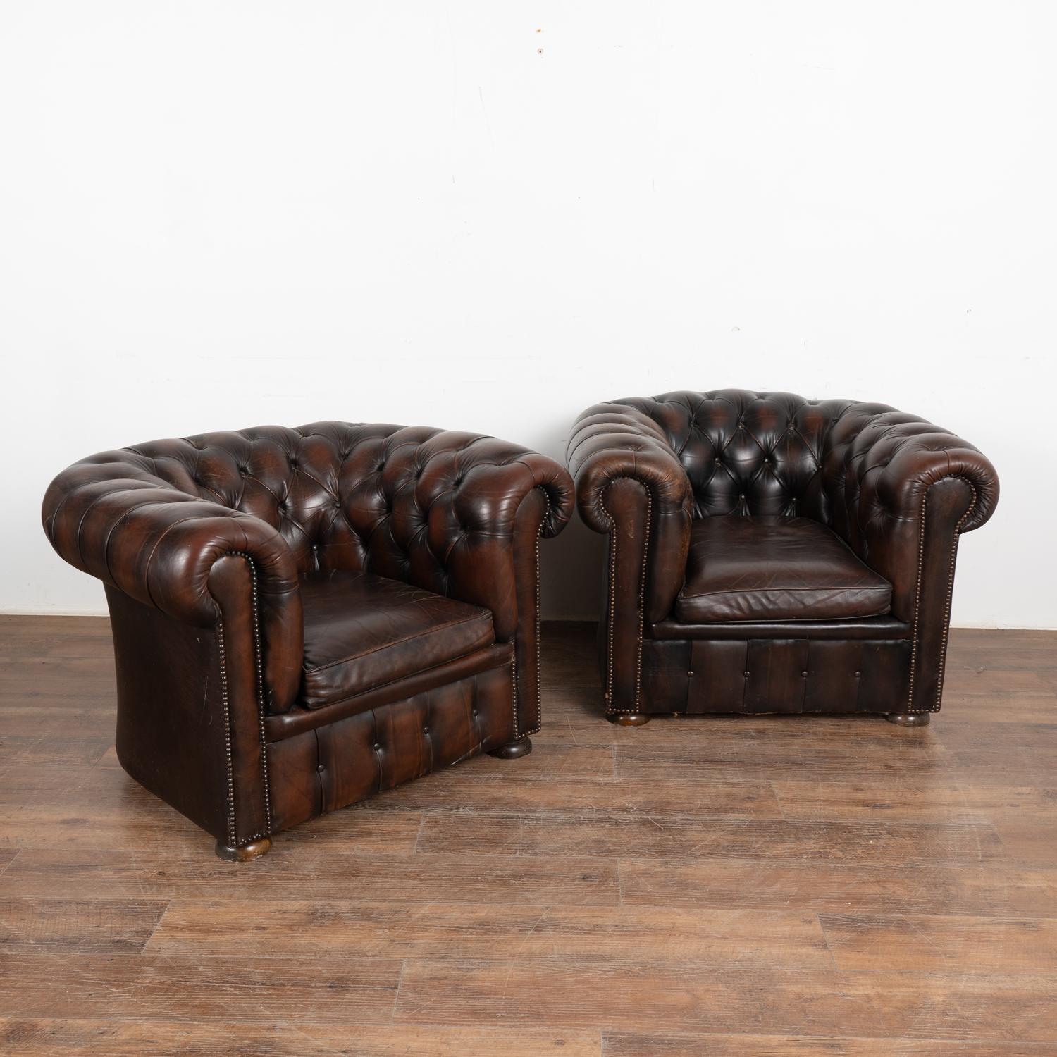 Pair, vintage brown leather chesterfield club arm chairs resting on bun feet.
Upholstered in tight button-tufted dark brown leather with nail head trim, rolled arms and loose seat cushions.
Sits comfortably and low with seat height at 16
