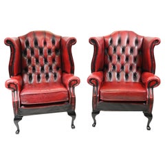 Paar Chesterfield Wingback Chairs Leder Sessel