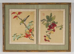 Paire d'aquarelles asiatiques chinoises Oiseaux et Fleurs, encadrées ensemble