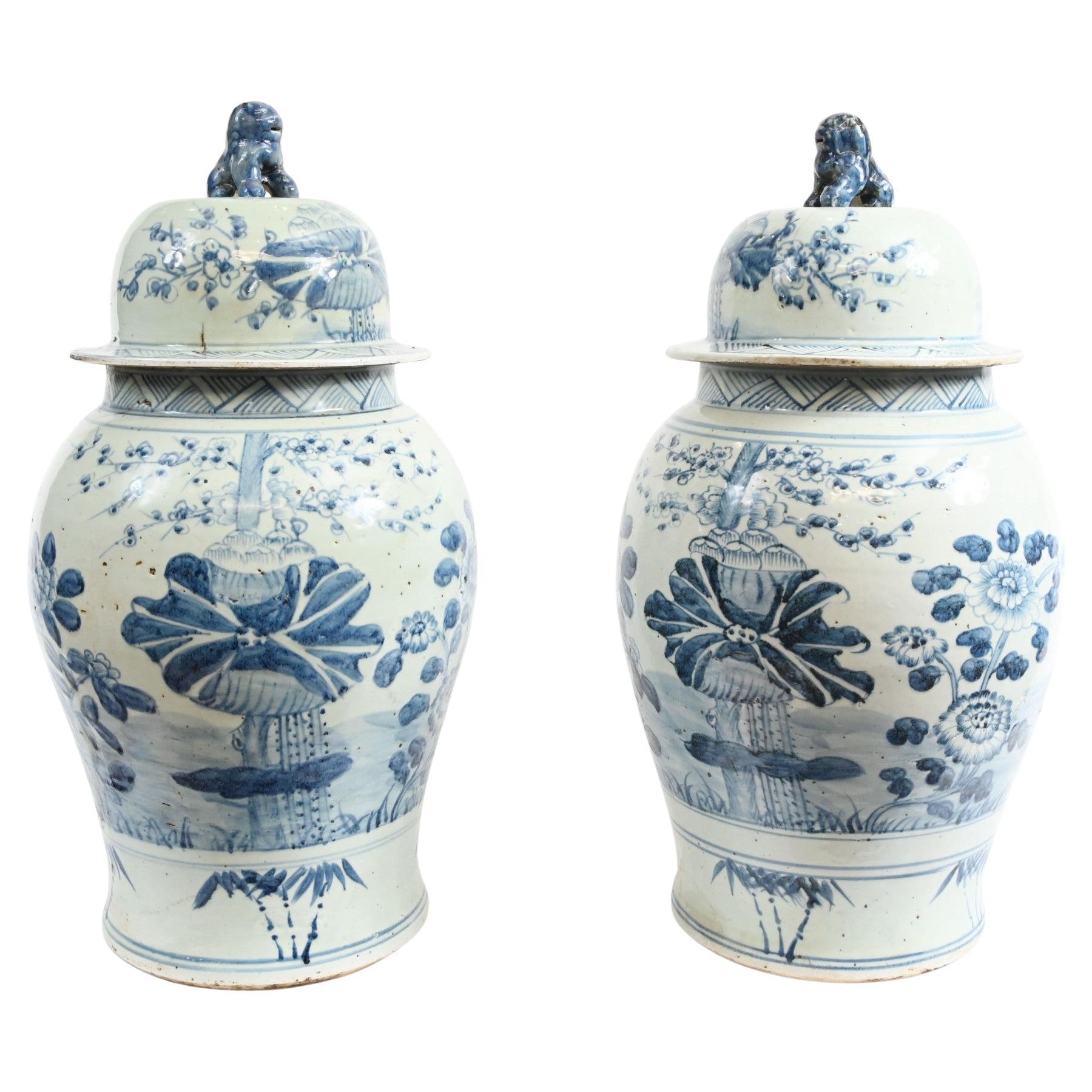 What do Chinese foo dogs represent?