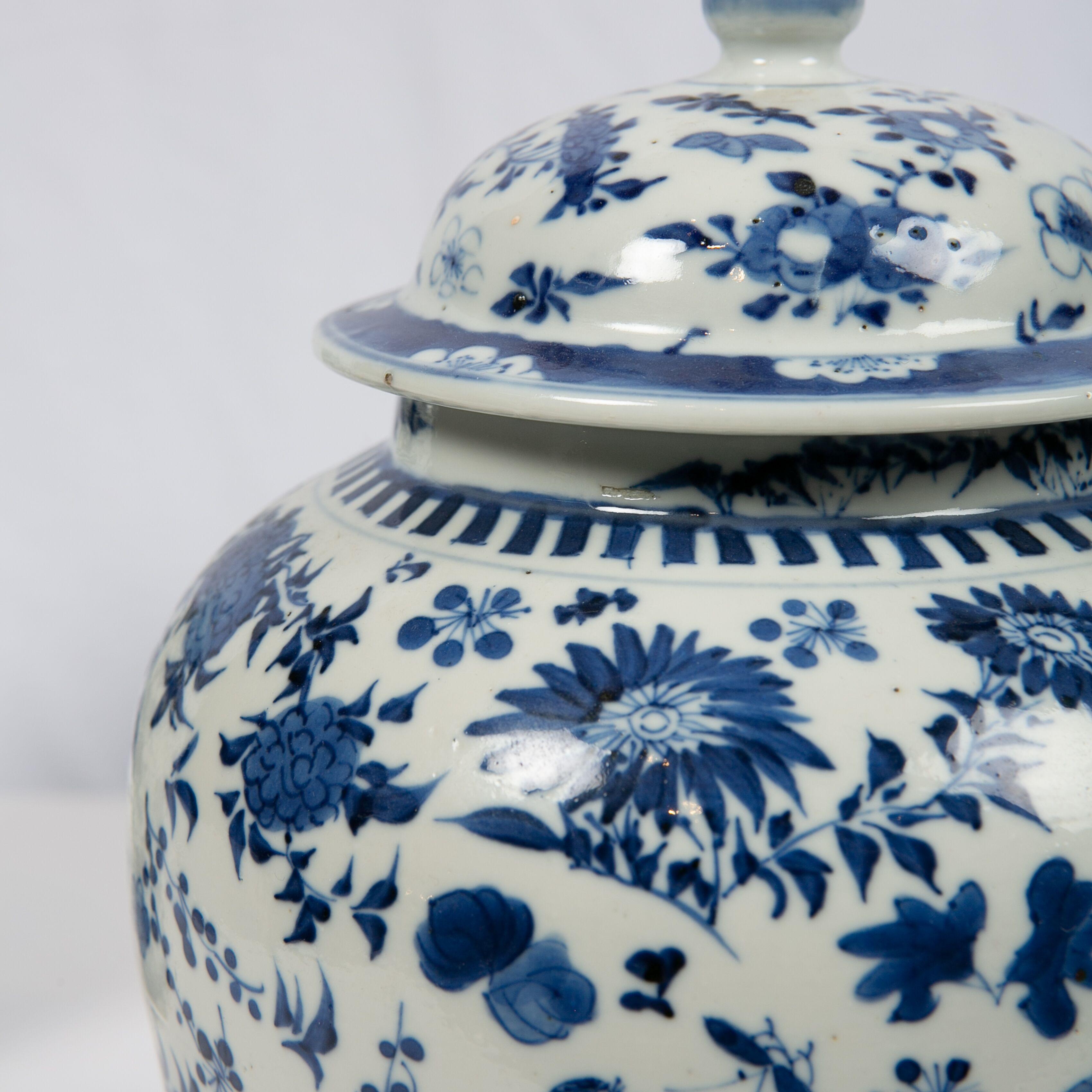 Pair of Chinese Porcelain Blue and White Covered Jars 19th Century Qing Dynasty 2
