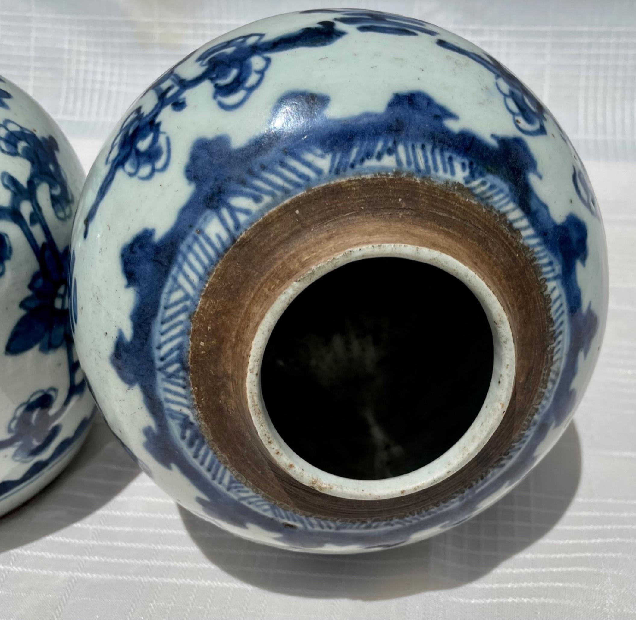Pair of Chinese Qing Kangxi Blue & White Shou Ginger Jars, 18th Century 2