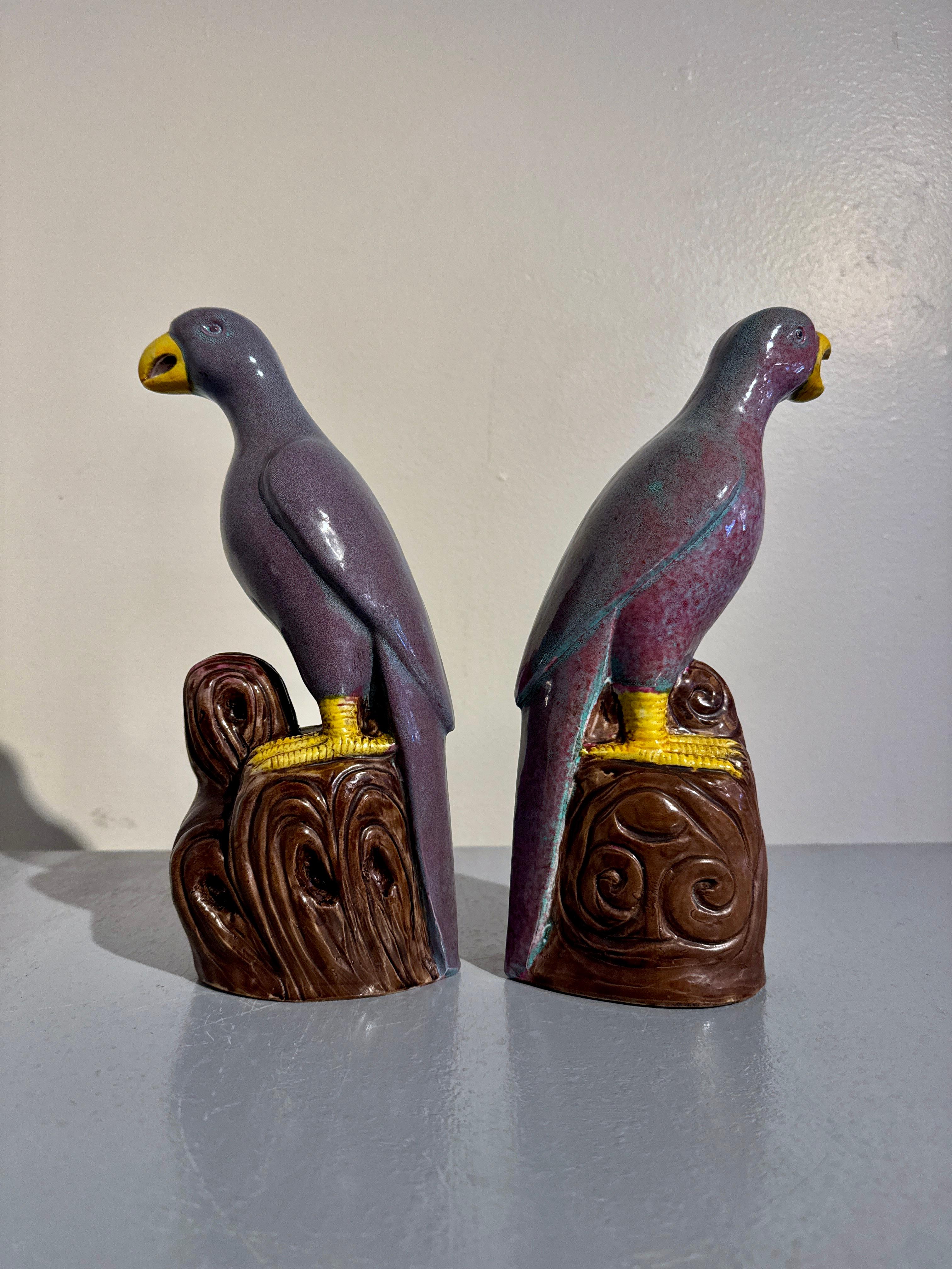 Paar chinesische Robins-Eierschalen aus glasiertem Porzellan mit Papageien, frühes 20. Jahrhundert, China (Chinesisch) im Angebot