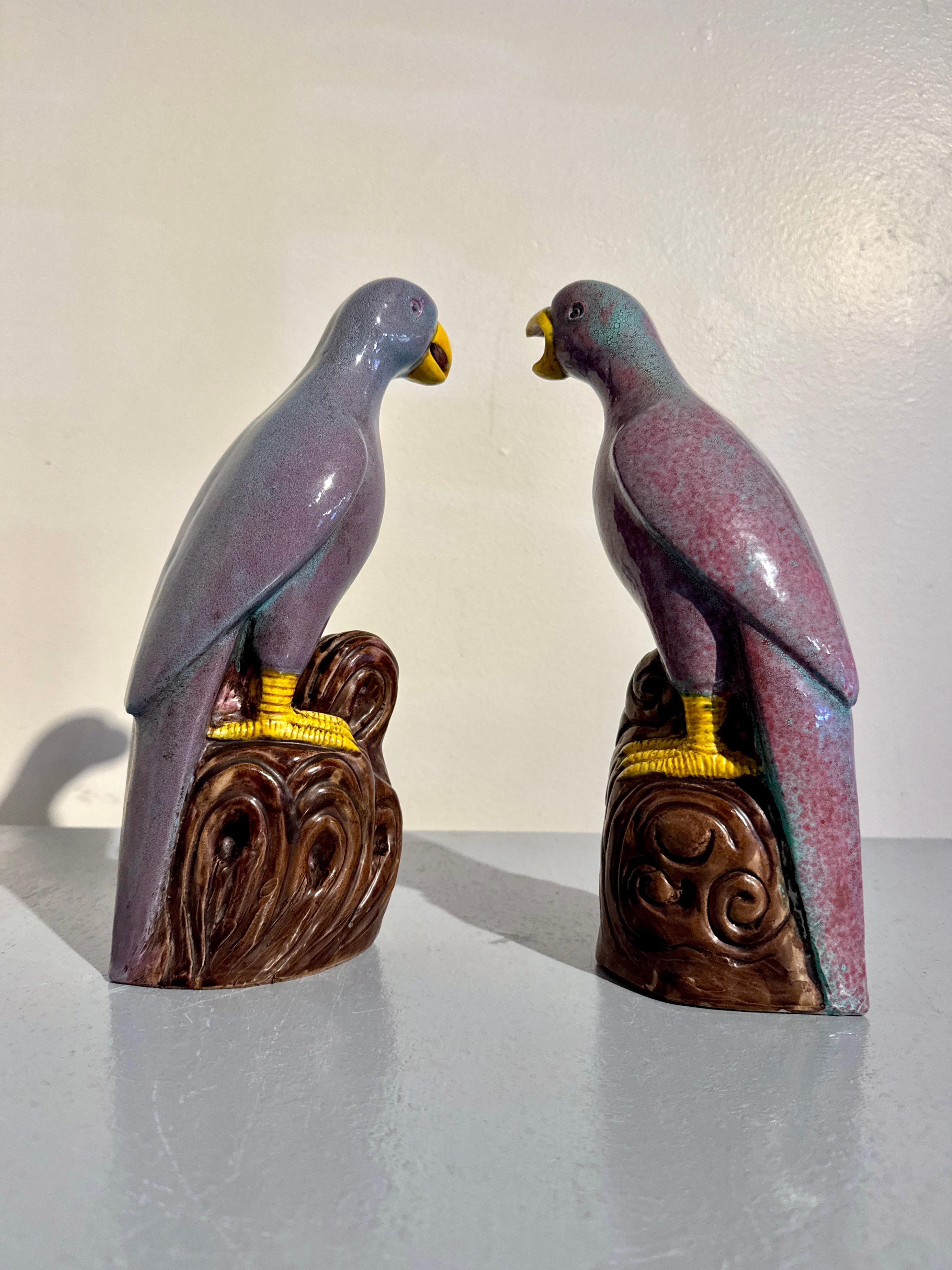 Paar chinesische Robins-Eierschalen aus glasiertem Porzellan mit Papageien, frühes 20. Jahrhundert, China im Zustand „Gut“ im Angebot in Austin, TX