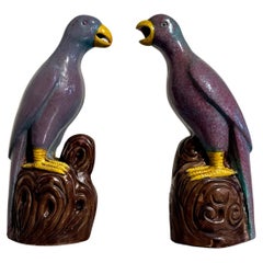 Antique Pair Chinese Robins Egg Glazed Porcelain Parrots, Early 20th century, China