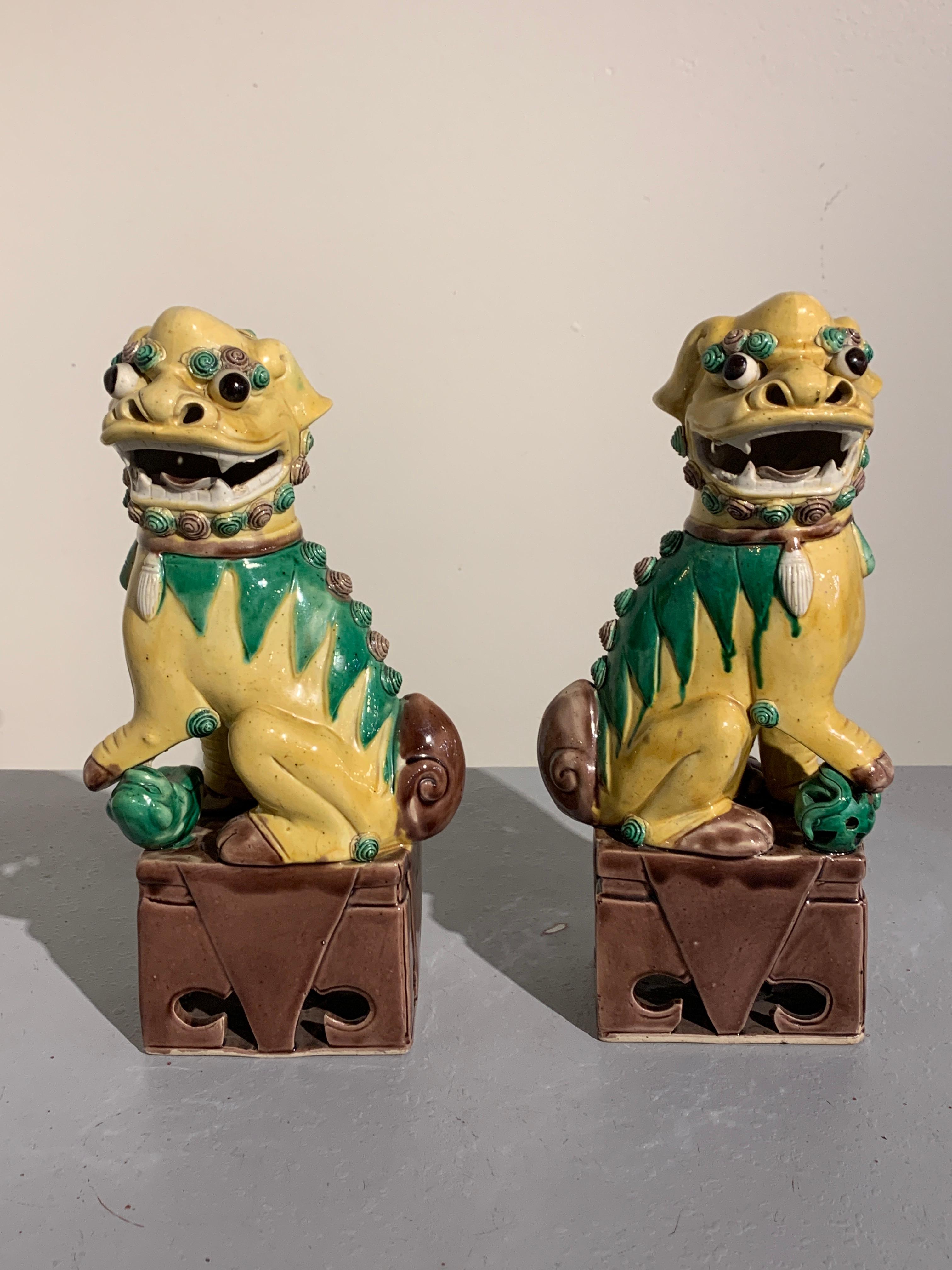 yellow foo dogs